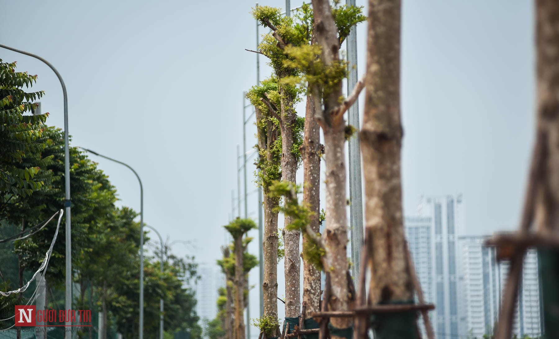 Tin nhanh - Hà Nội: Cận cảnh con đường 8 làn mới hoàn thiện nối liền 3 quận (Hình 7).