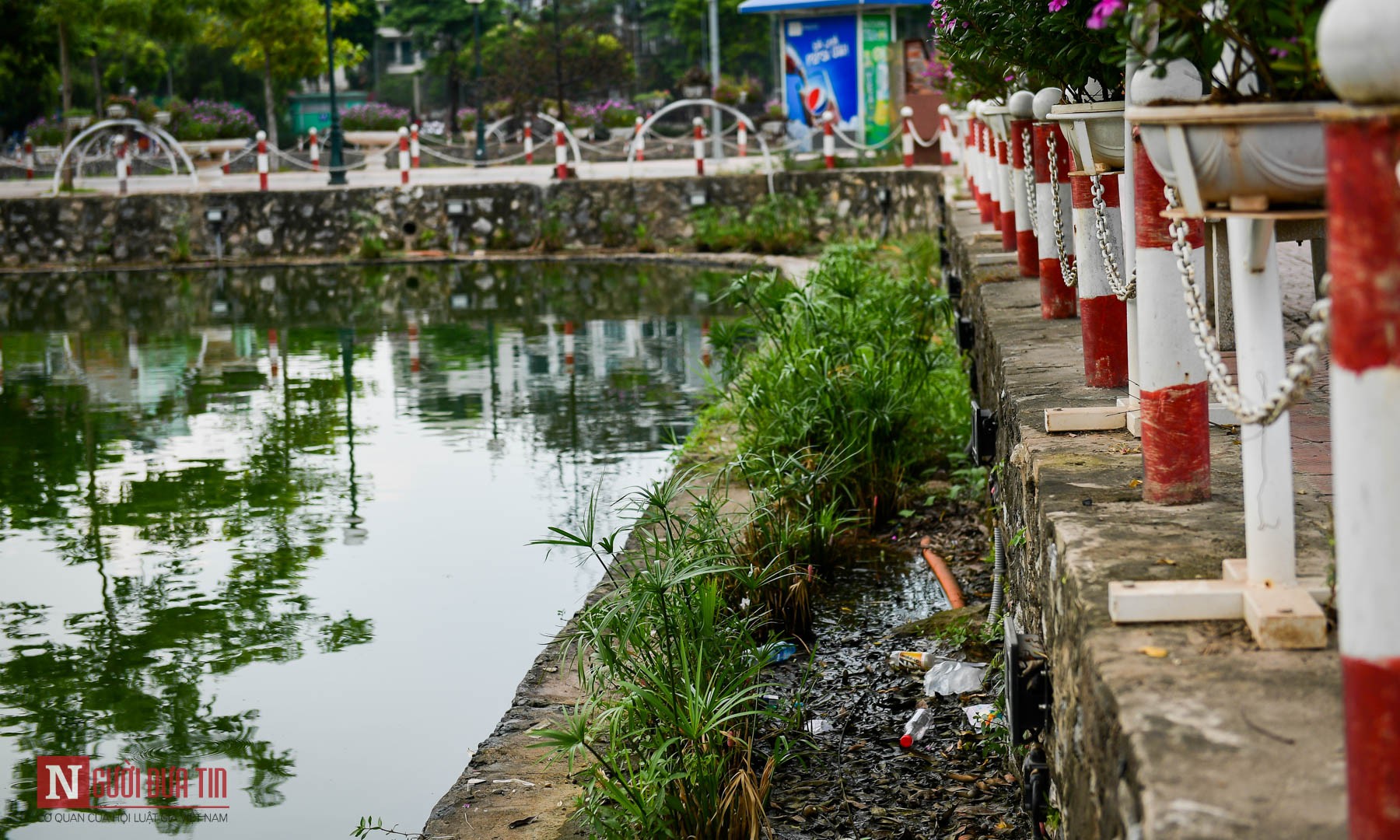 Tin nhanh - Phố đi bộ Trịnh Công Sơn có dành cho người đi bộ? (Hình 10).