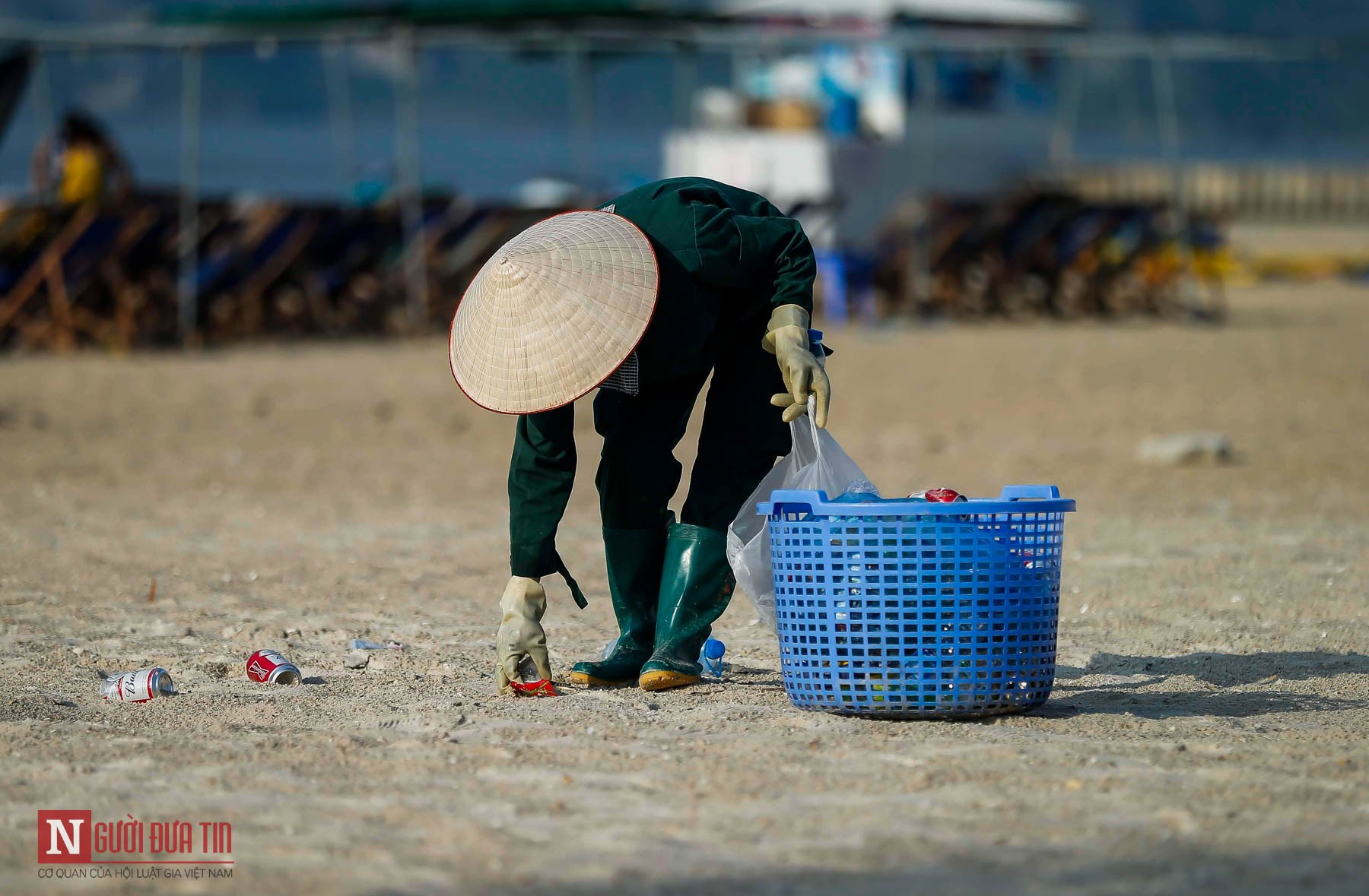 Môi trường - Nhói lòng người 'gác biển' (Hình 4).