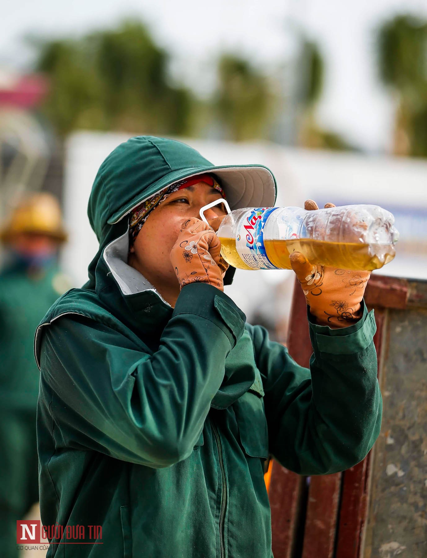 Môi trường - Nhói lòng người 'gác biển' (Hình 12).