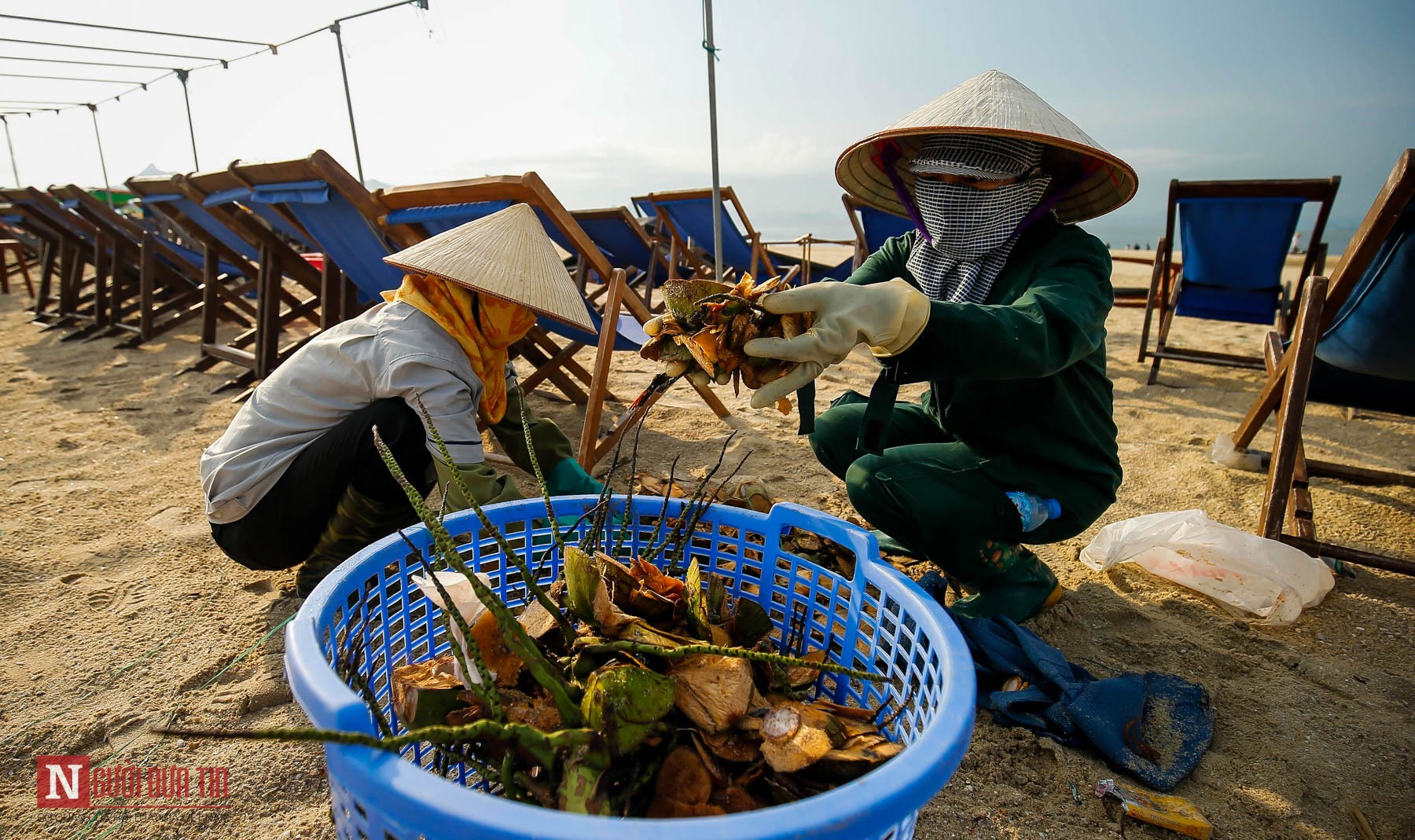 Môi trường - Nhói lòng người 'gác biển' (Hình 6).