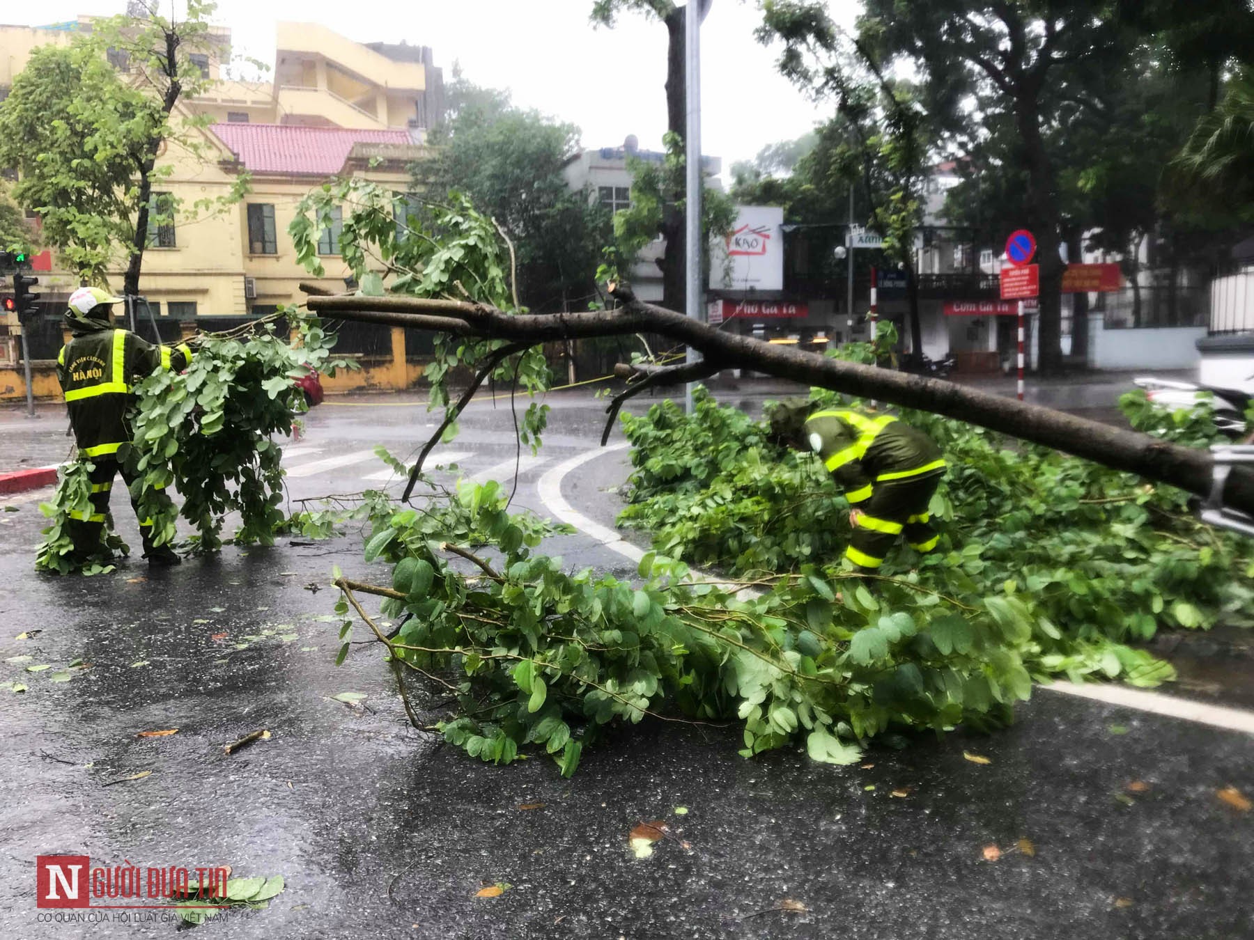 Tin nhanh - Hà Nội: Hàng loạt cây xanh, cột điện nghiêng đổ do bão số 3 (Hình 5).