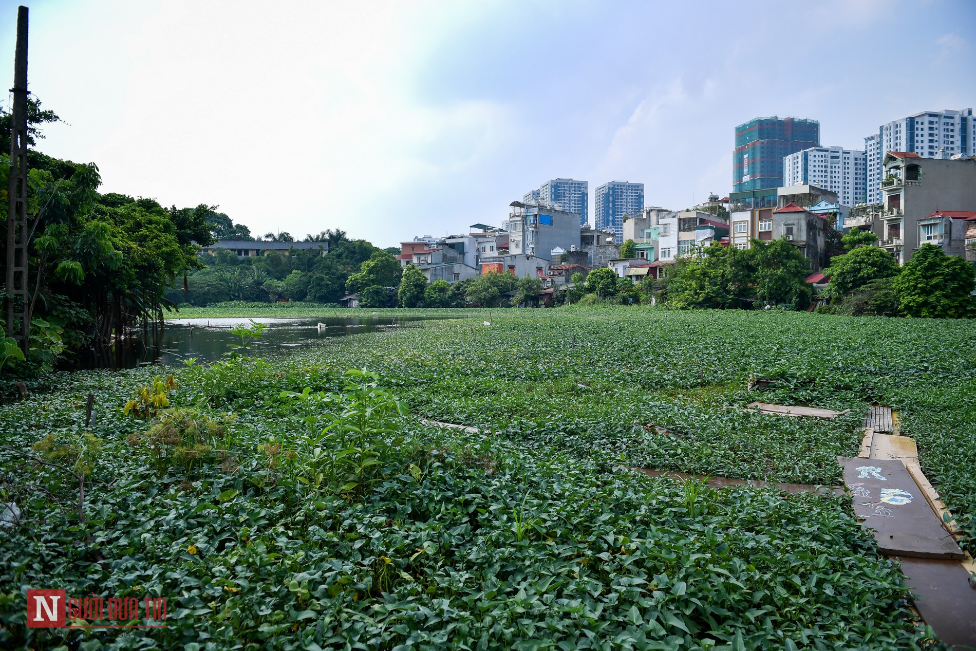 Tin nhanh - Hà Nội: Rác thải, bơm tiêm bủa vây, người dân lấn chiếm “bức tử” hồ Rẻ Quạt