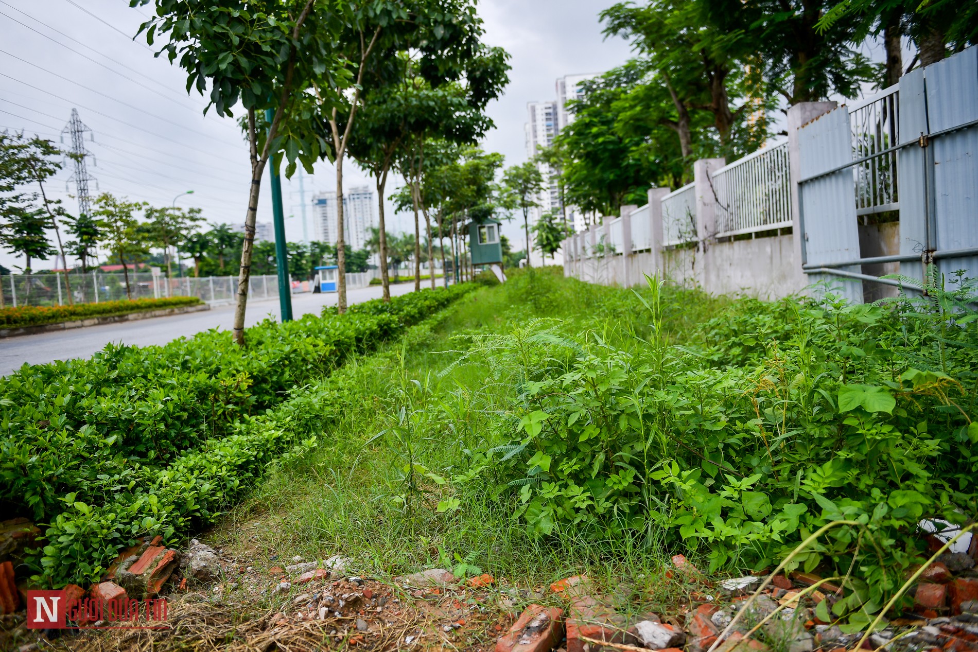 Đầu tư - Ngổn ngang rác thải, vật liệu trên tuyến đường nối hai vành đai sau 5 năm dang dở (Hình 6).