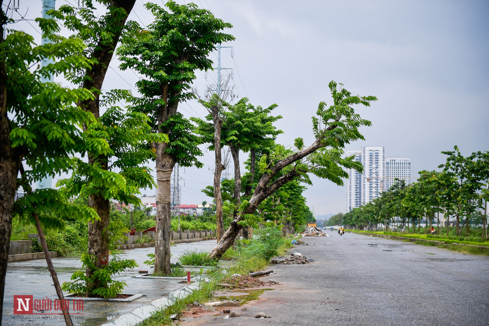 Đầu tư - Ngổn ngang rác thải, vật liệu trên tuyến đường nối hai vành đai sau 5 năm dang dở (Hình 11).