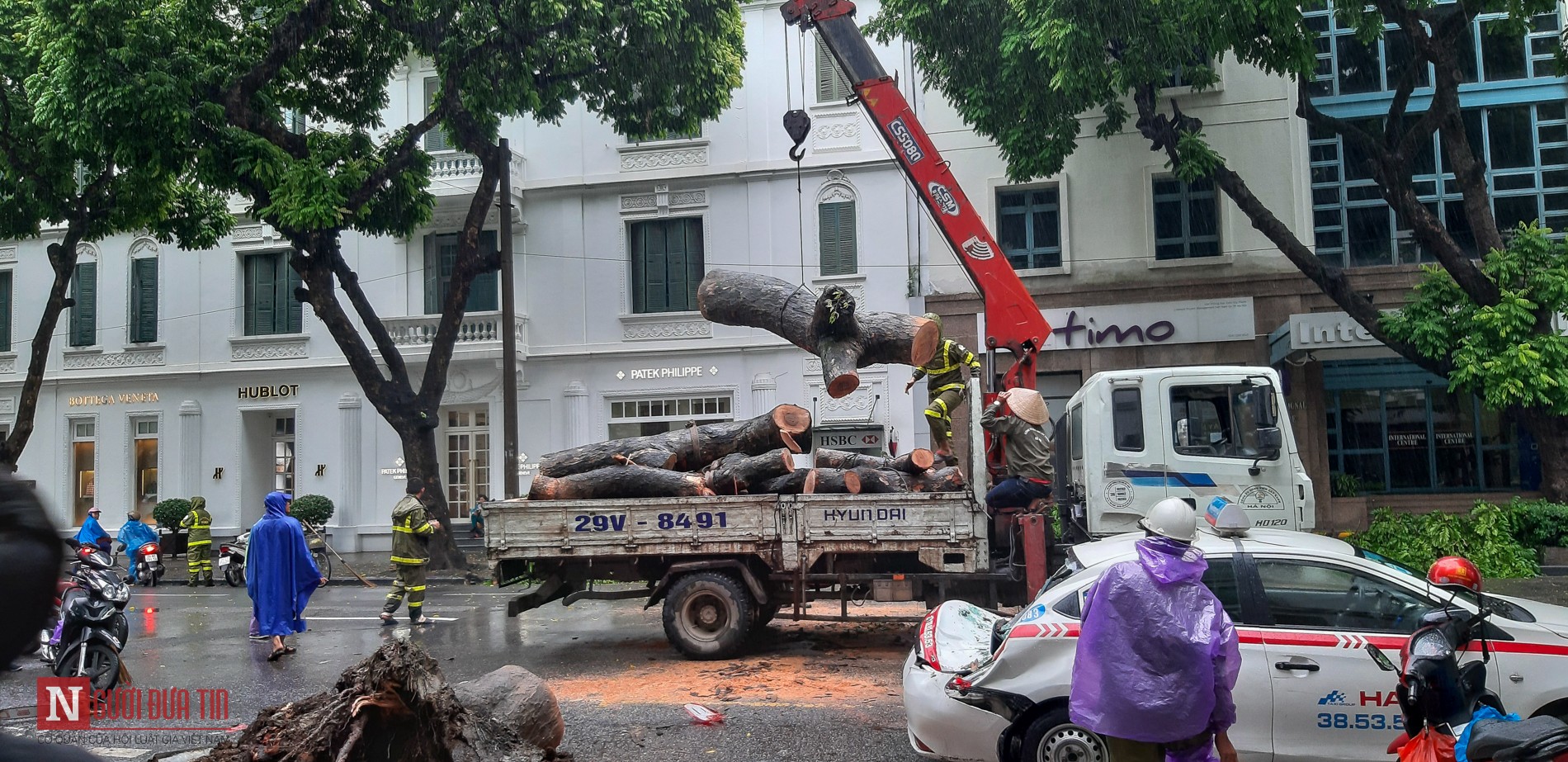 Tin nhanh - Hà Nội: Cây lớn lại đổ, đè bẹp taxi sau mưa to (Hình 6).