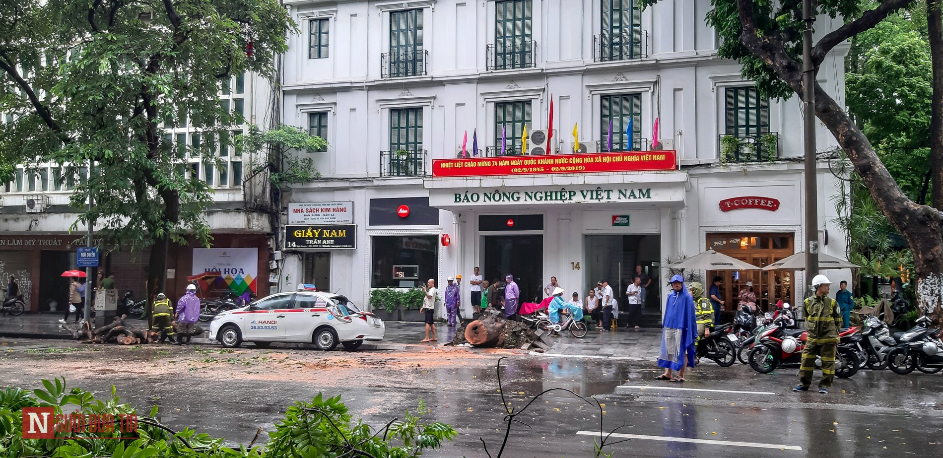 Tin nhanh - Hà Nội: Cây lớn lại đổ, đè bẹp taxi sau mưa to