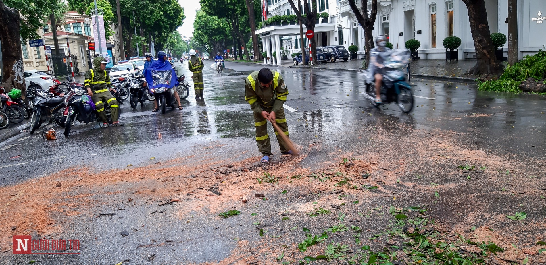 Tin nhanh - Hà Nội: Cây lớn lại đổ, đè bẹp taxi sau mưa to (Hình 7).