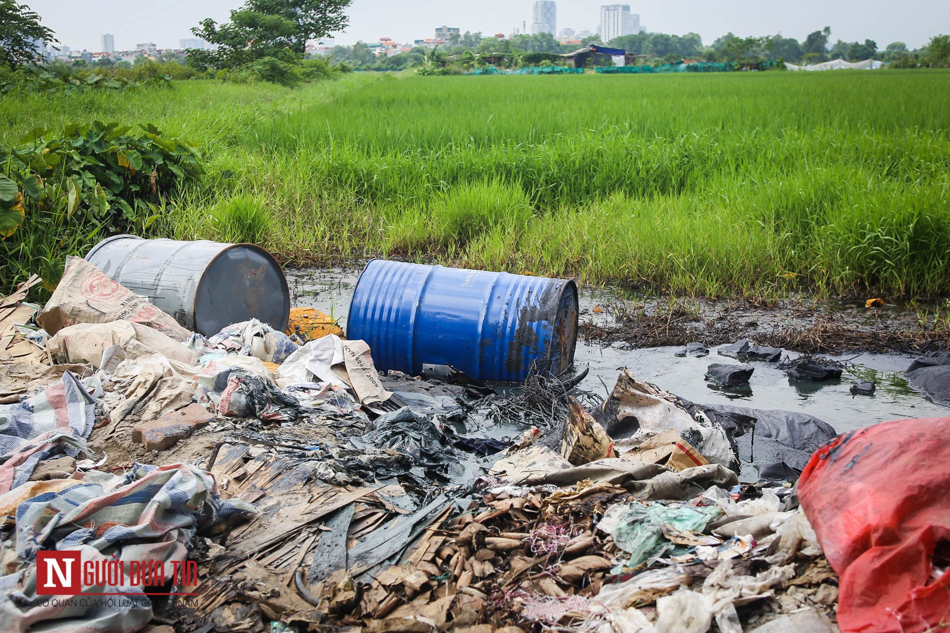 Môi trường - Hàng loạt thùng phuy nghi chứa hóa chất độc hại bị đổ trộm ra Đại lộ Thăng Long (Hình 10).