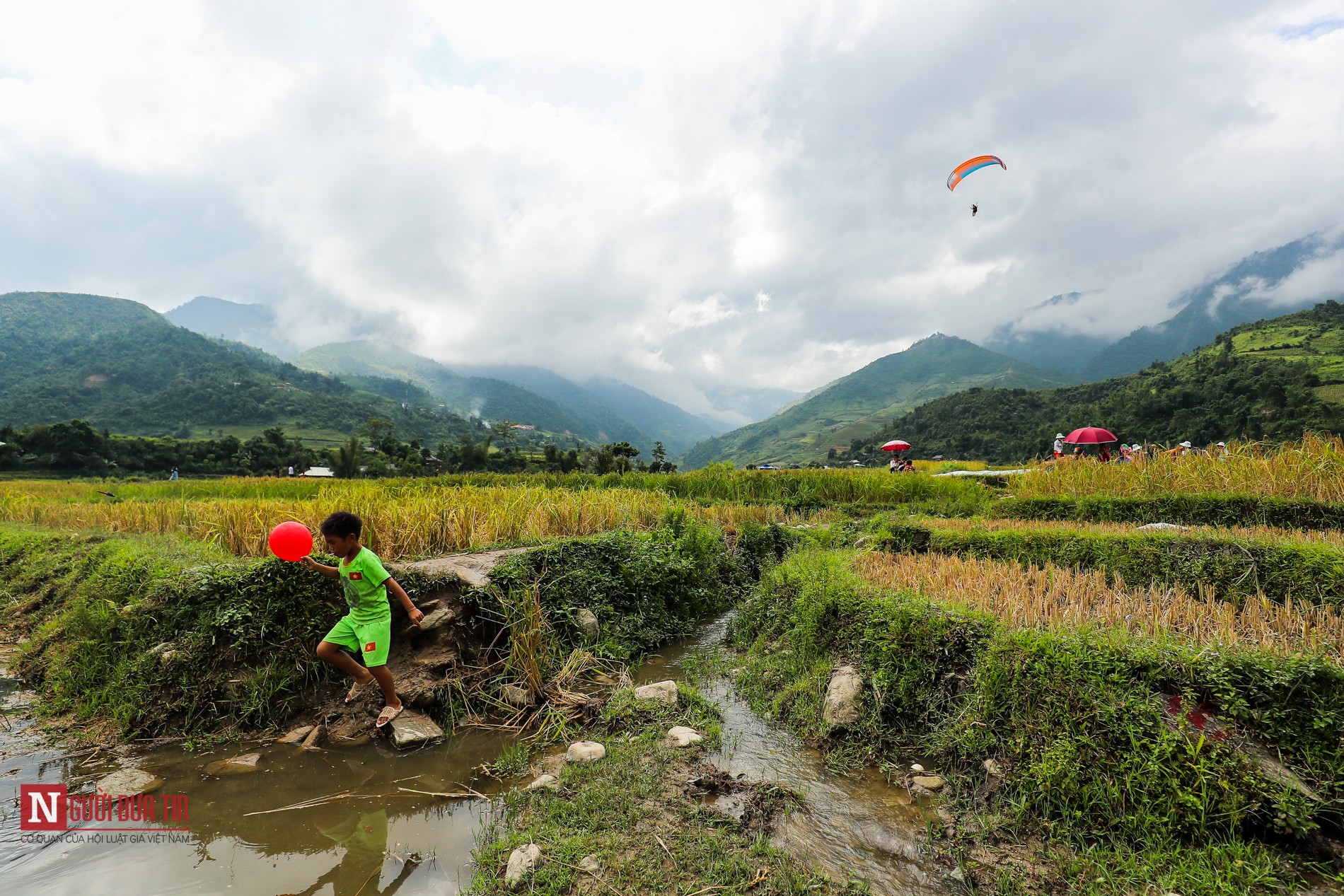 Văn hoá - Ngắm nhìn dù lượn bay trên mùa vàng tại Mù Cang Chải (Hình 8).