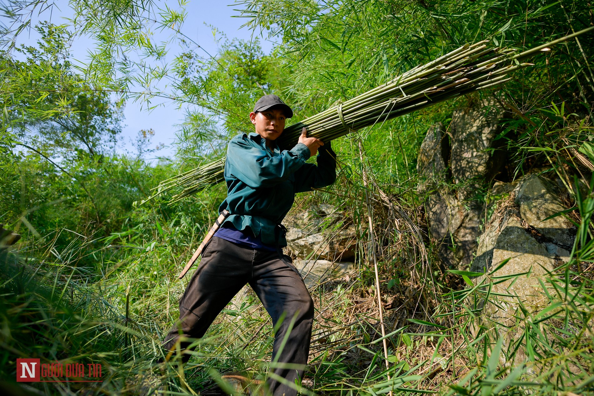 Môi trường - 'Đột nhập' xưởng sản xuất ống hút tự nhiên lớn nhất miền Bắc (Hình 3).