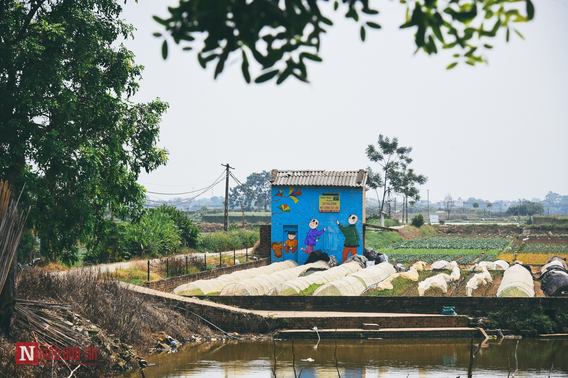 Văn hoá - Cận cảnh làng bích họa đầu tiên ở Hà Nội (Hình 6).