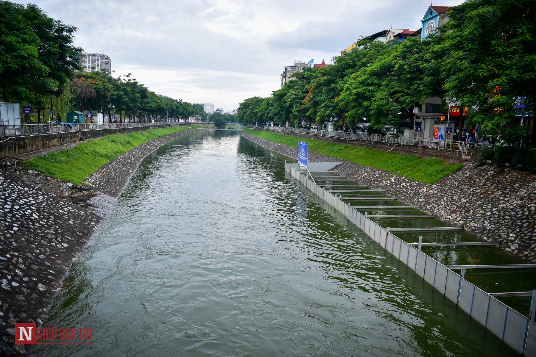 Tin nhanh - Thủ tướng giao Hà Nội đánh giá, xem xét nhân rộng thí điểm làm sạch sông Tô Lịch (Hình 6).