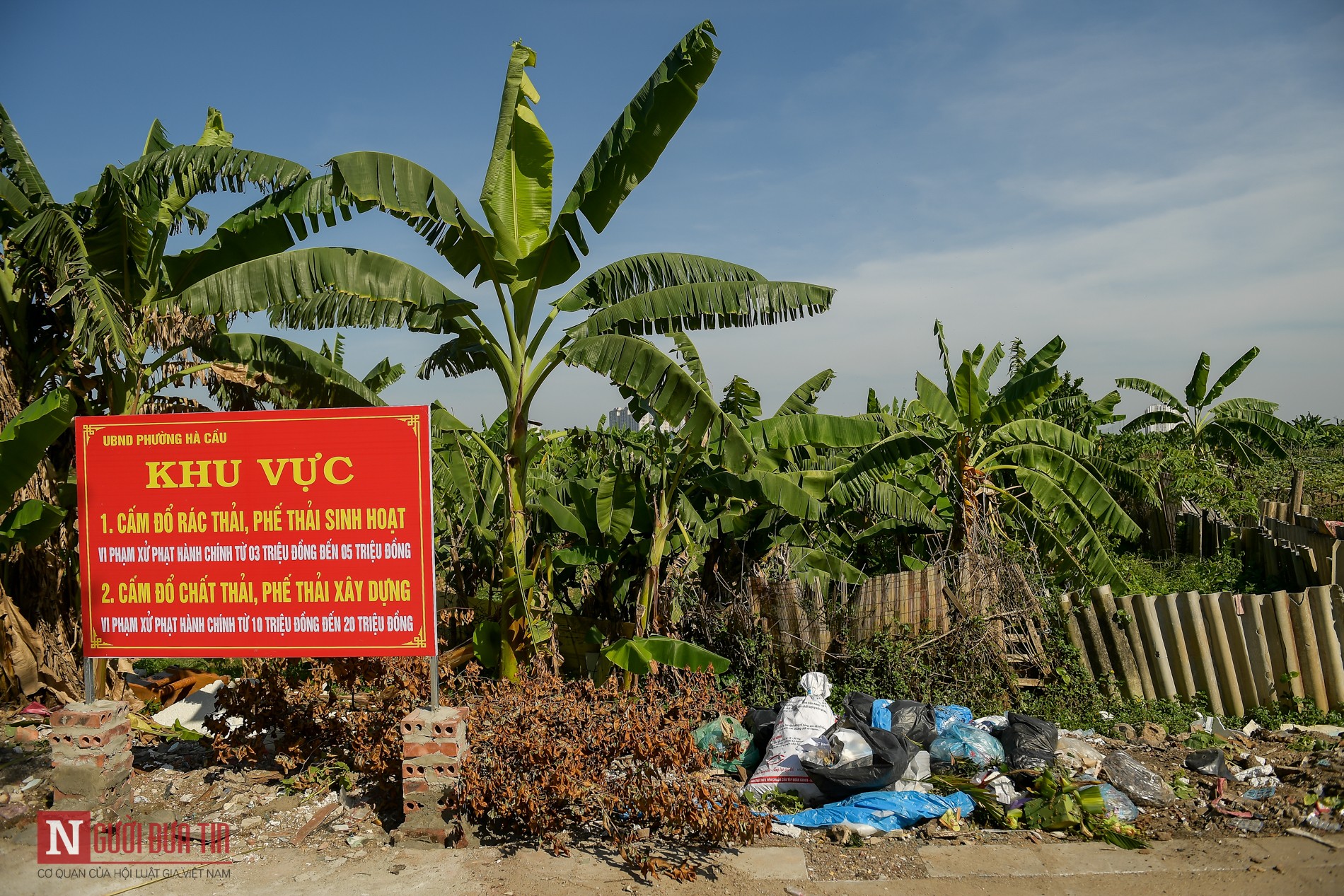 Tin nhanh - Hà Nội: Rác thải bủa vây nhiều tuyến đường, ô nhiễm nghiêm trọng (Hình 8).