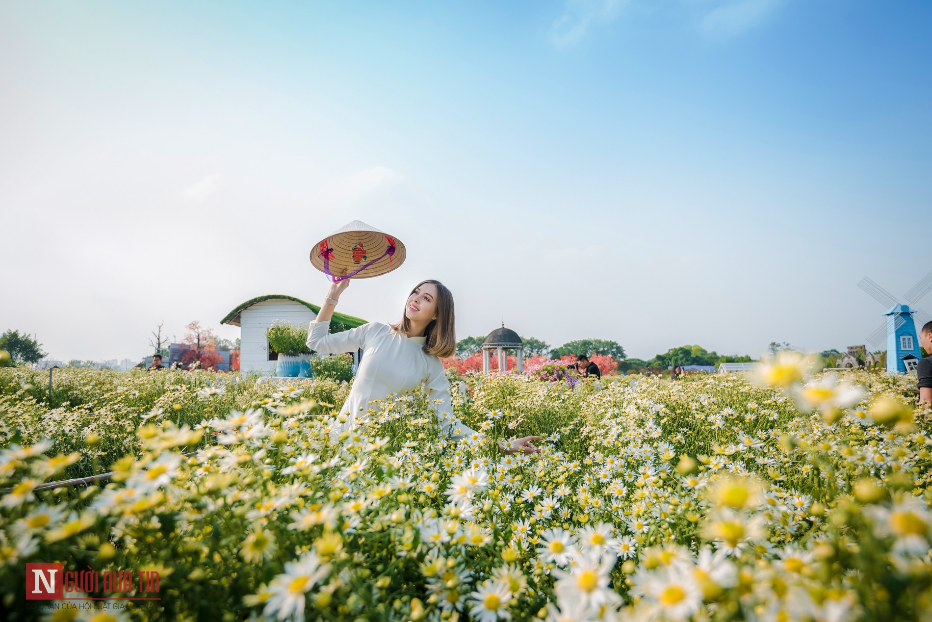 Tin nhanh - Du khách nước ngoài bắt trend đổ xô chụp ảnh cùng những sắc hoa Hà Nội (Hình 3).