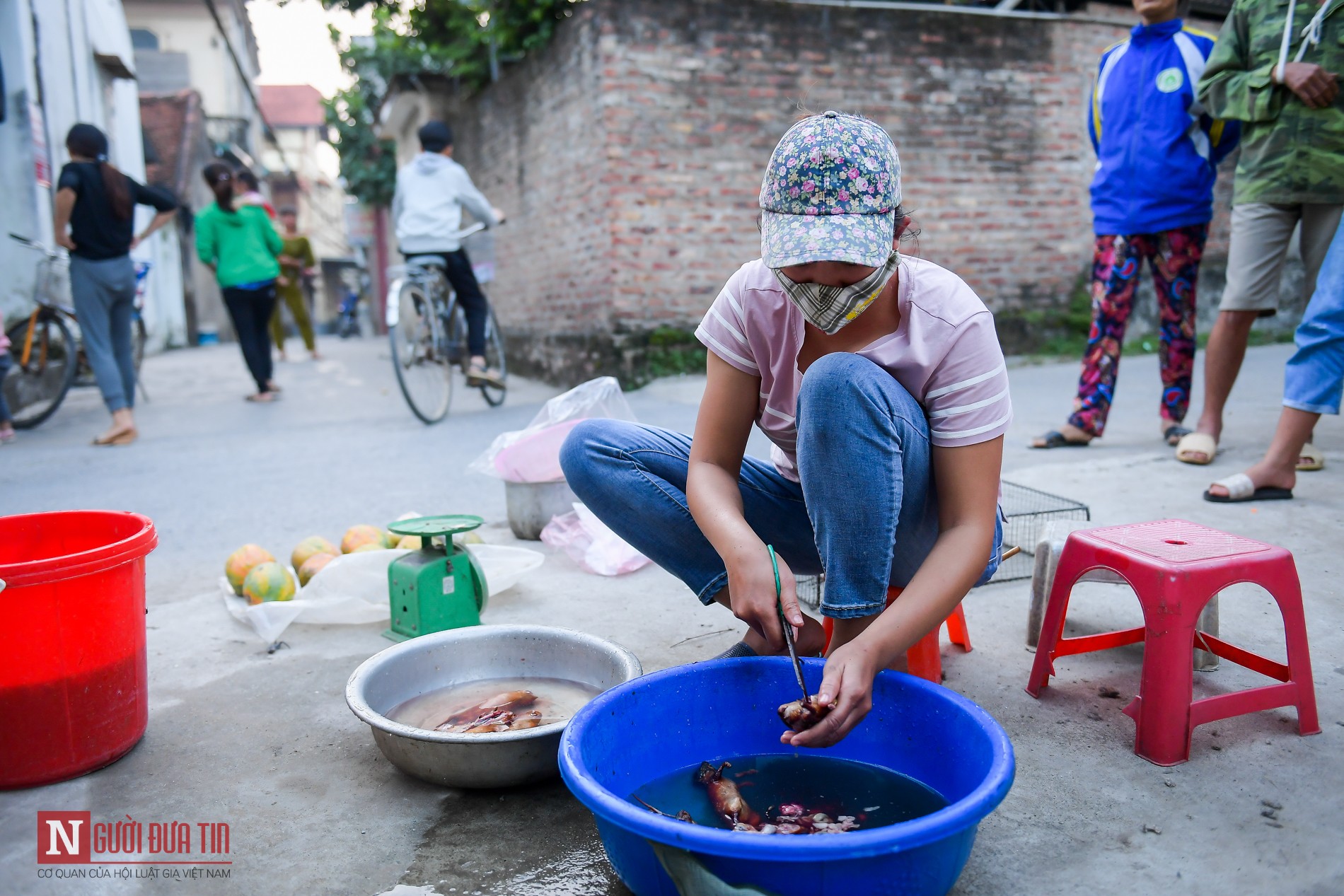 Dân sinh - Ngay Hà Nội, theo chân 'thợ săn' biến thịt chuột thành đặc sản thượng hạng (Hình 14).