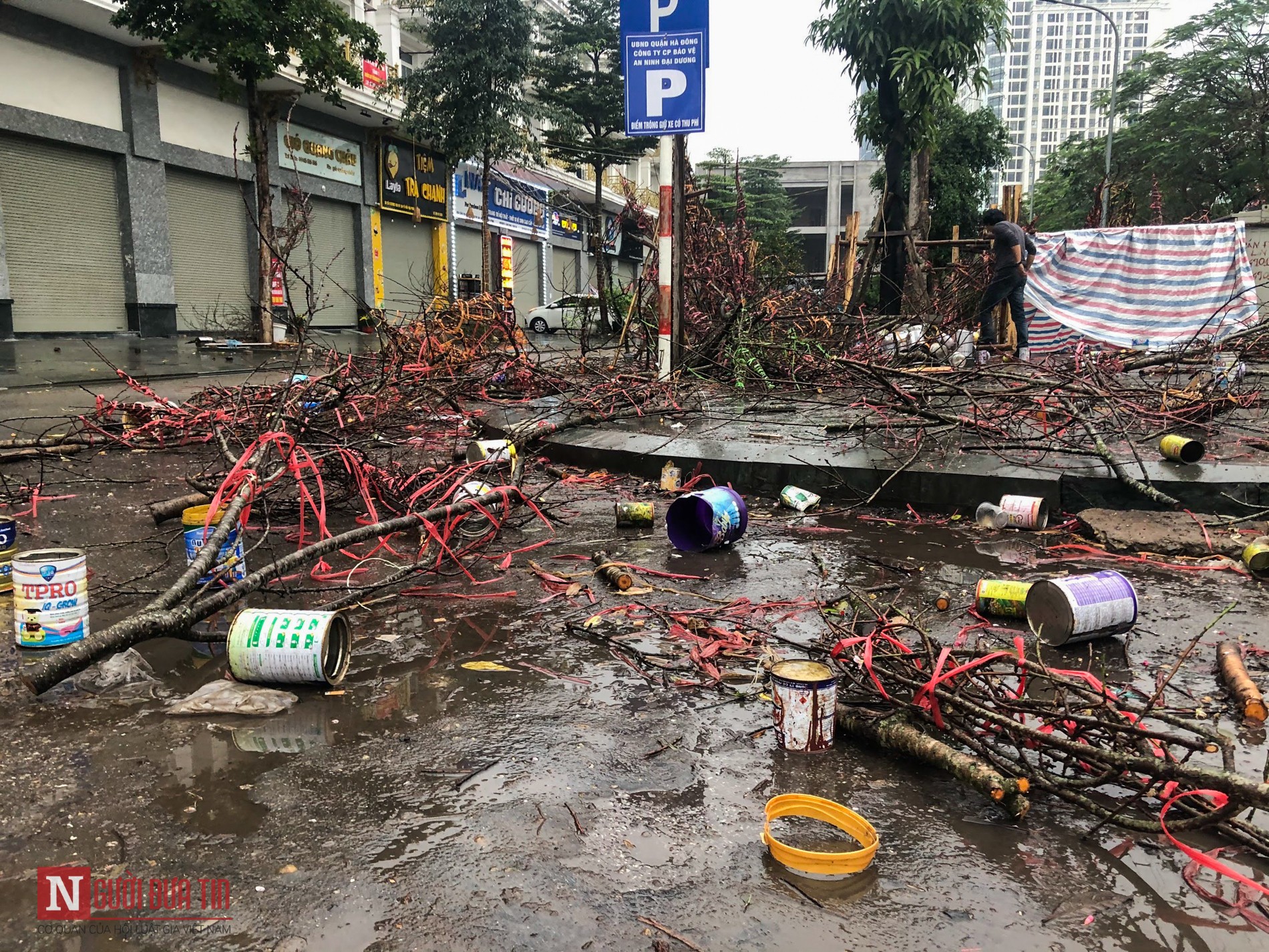 Tin nhanh - Chiều 30 Tết, cây cảnh chơi xuân “hóa rác” ngổn ngang (Hình 9).