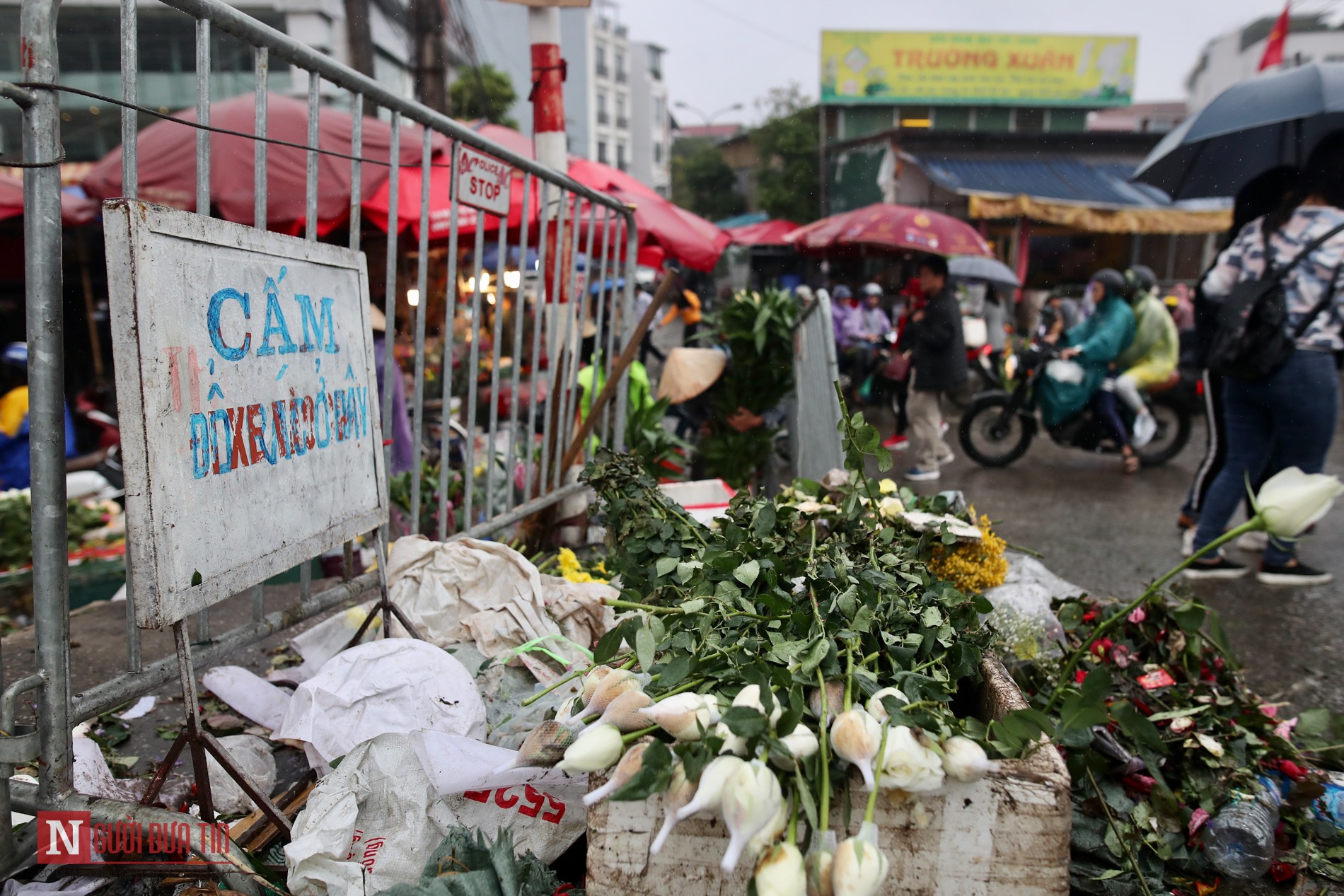 Tin nhanh - Chiều 30 Tết, cây cảnh chơi xuân “hóa rác” ngổn ngang (Hình 7).