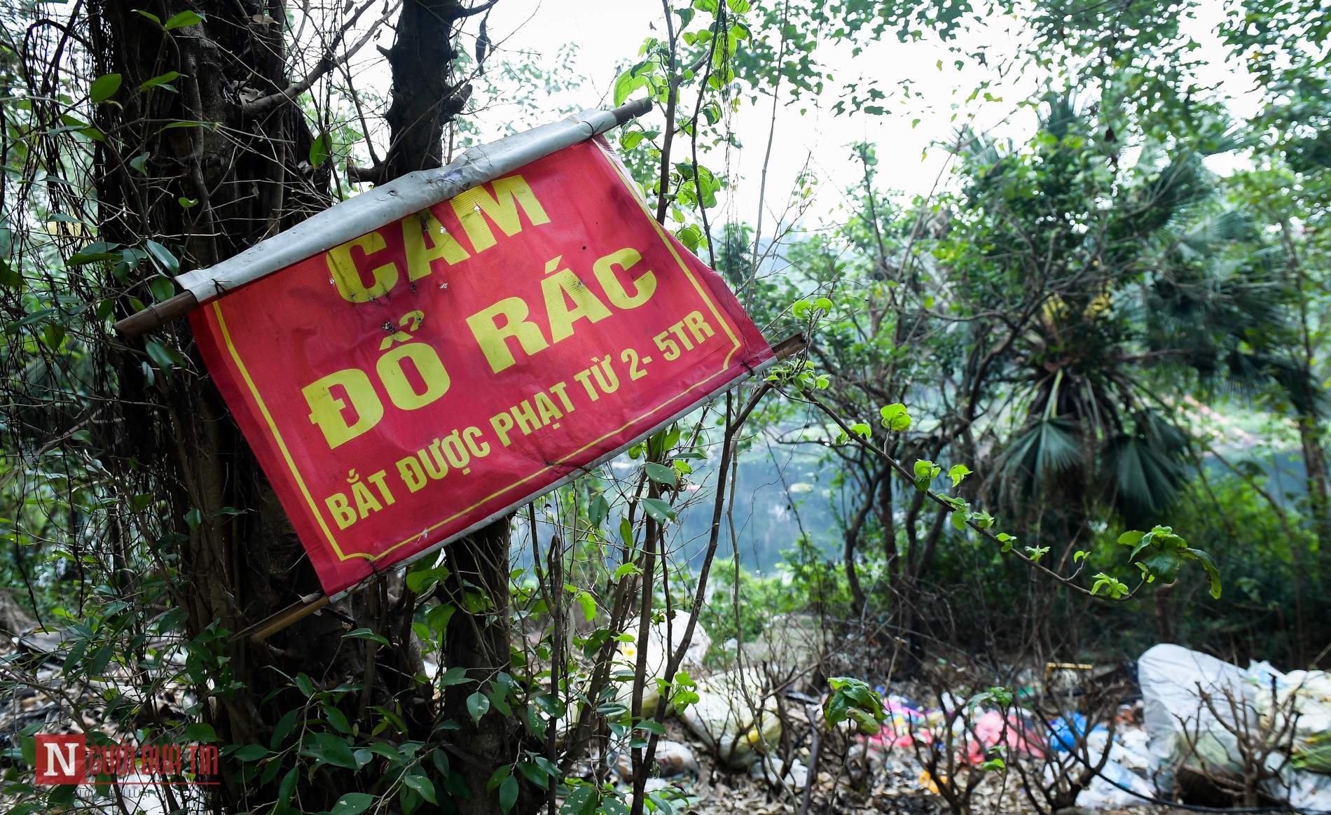 Tin nhanh - Rác thải 'bức tử' hai bờ sông Nhuệ (Hình 7).