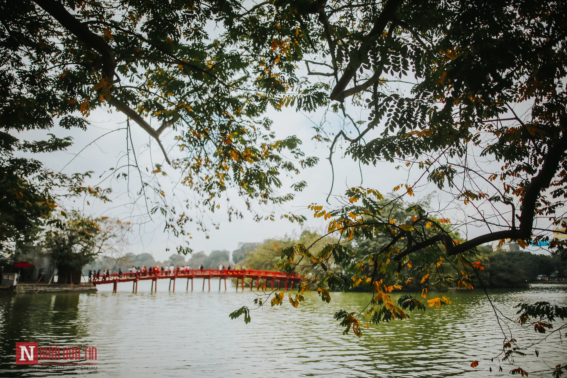 Tin nhanh - Hà Nội lãng mạn mùa cây thay lá (Hình 2).