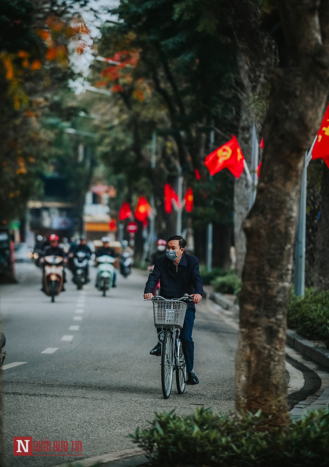 Tin nhanh - Hà Nội lãng mạn mùa cây thay lá (Hình 16).