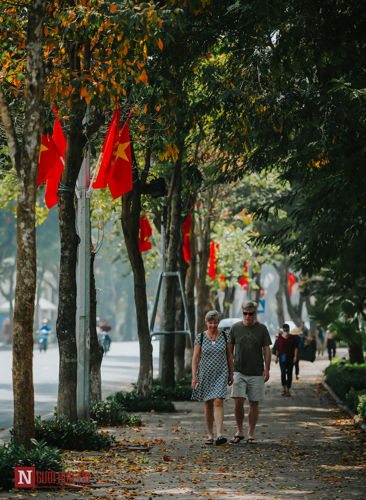 Tin nhanh - Hà Nội lãng mạn mùa cây thay lá (Hình 18).