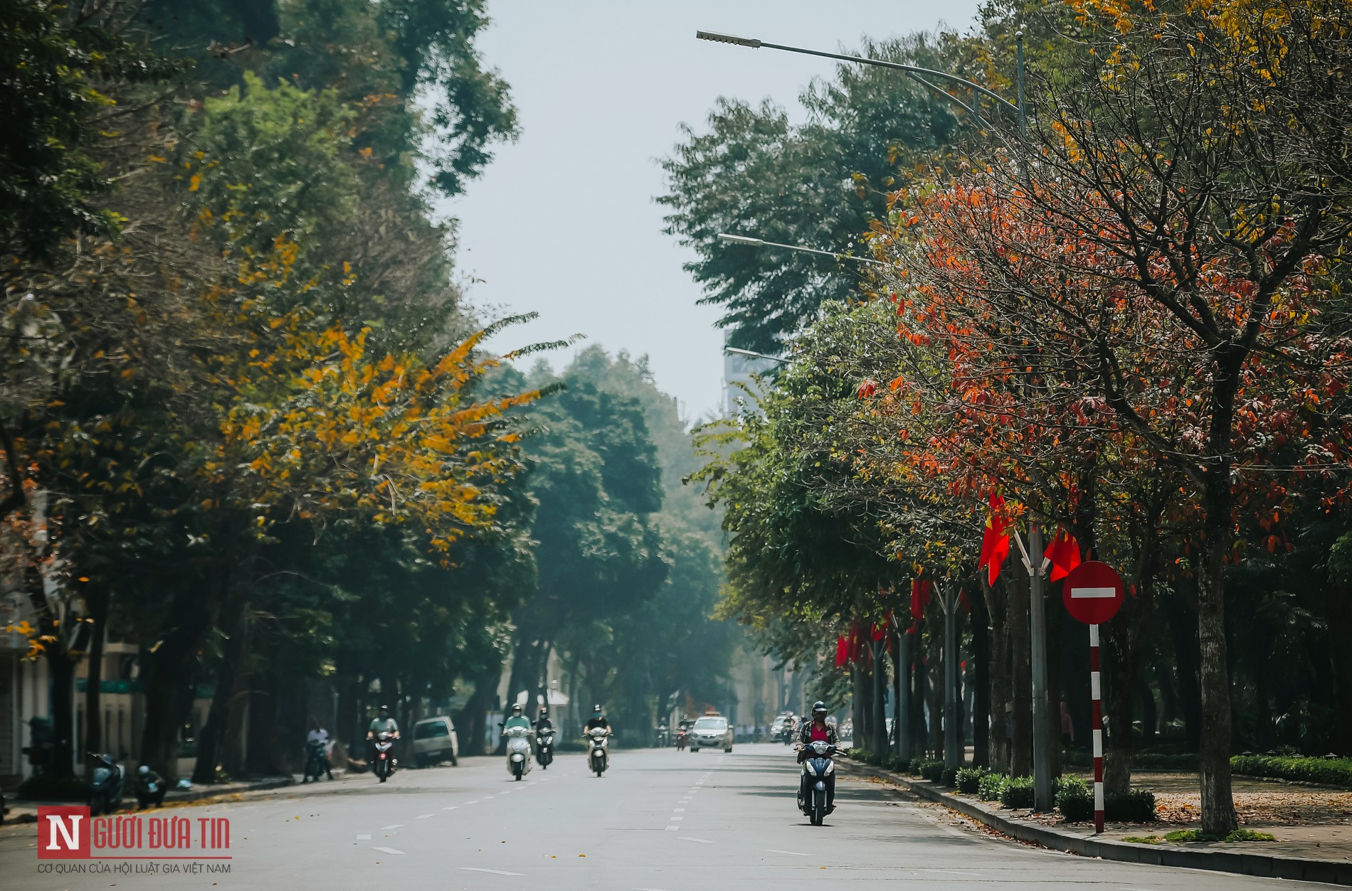 Tin nhanh - Hà Nội lãng mạn mùa cây thay lá