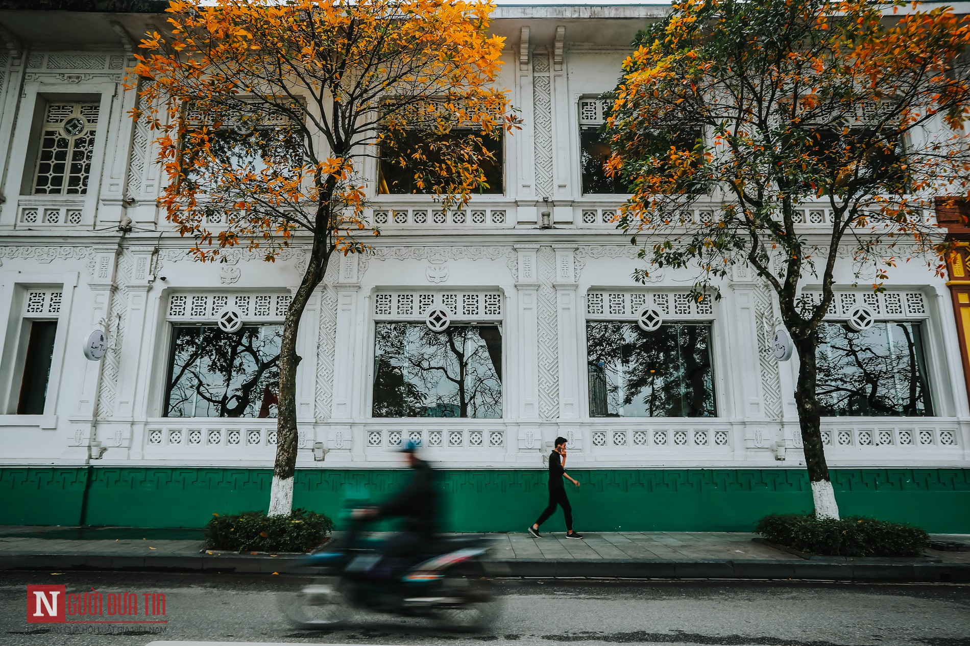 Tin nhanh - Hà Nội lãng mạn mùa cây thay lá (Hình 3).