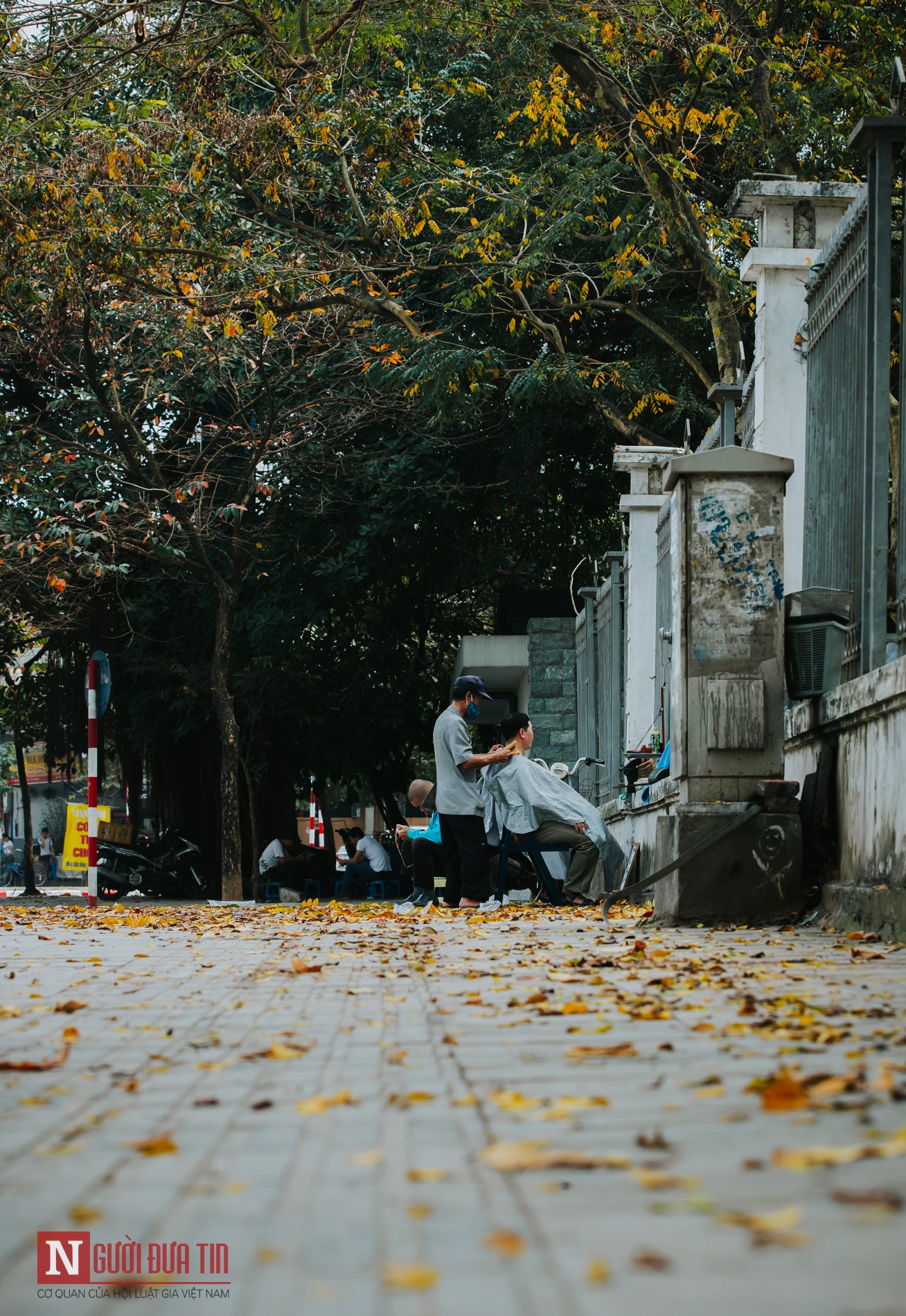 Tin nhanh - Hà Nội lãng mạn mùa cây thay lá (Hình 10).