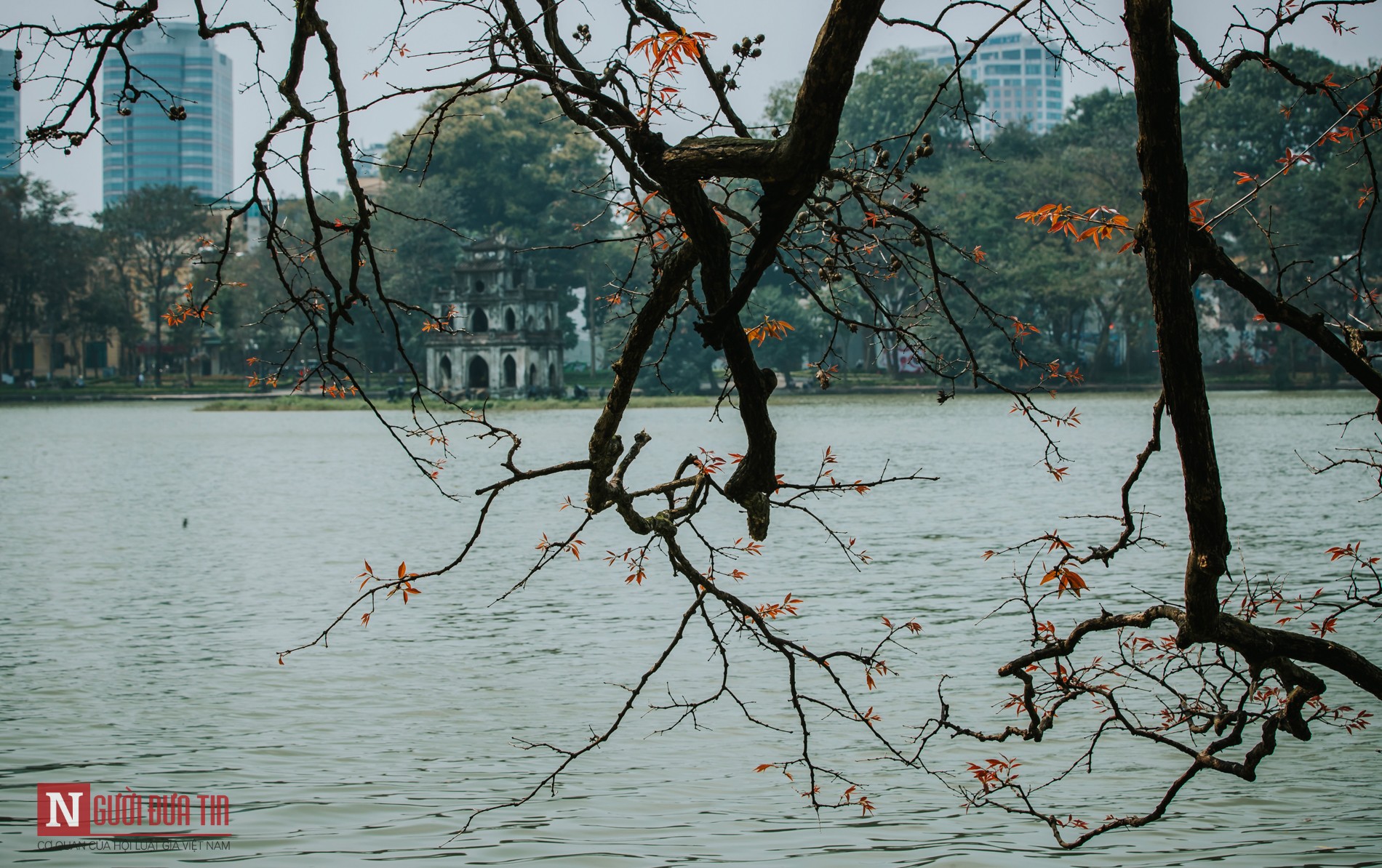 Tin nhanh - Hà Nội lãng mạn mùa cây thay lá (Hình 4).