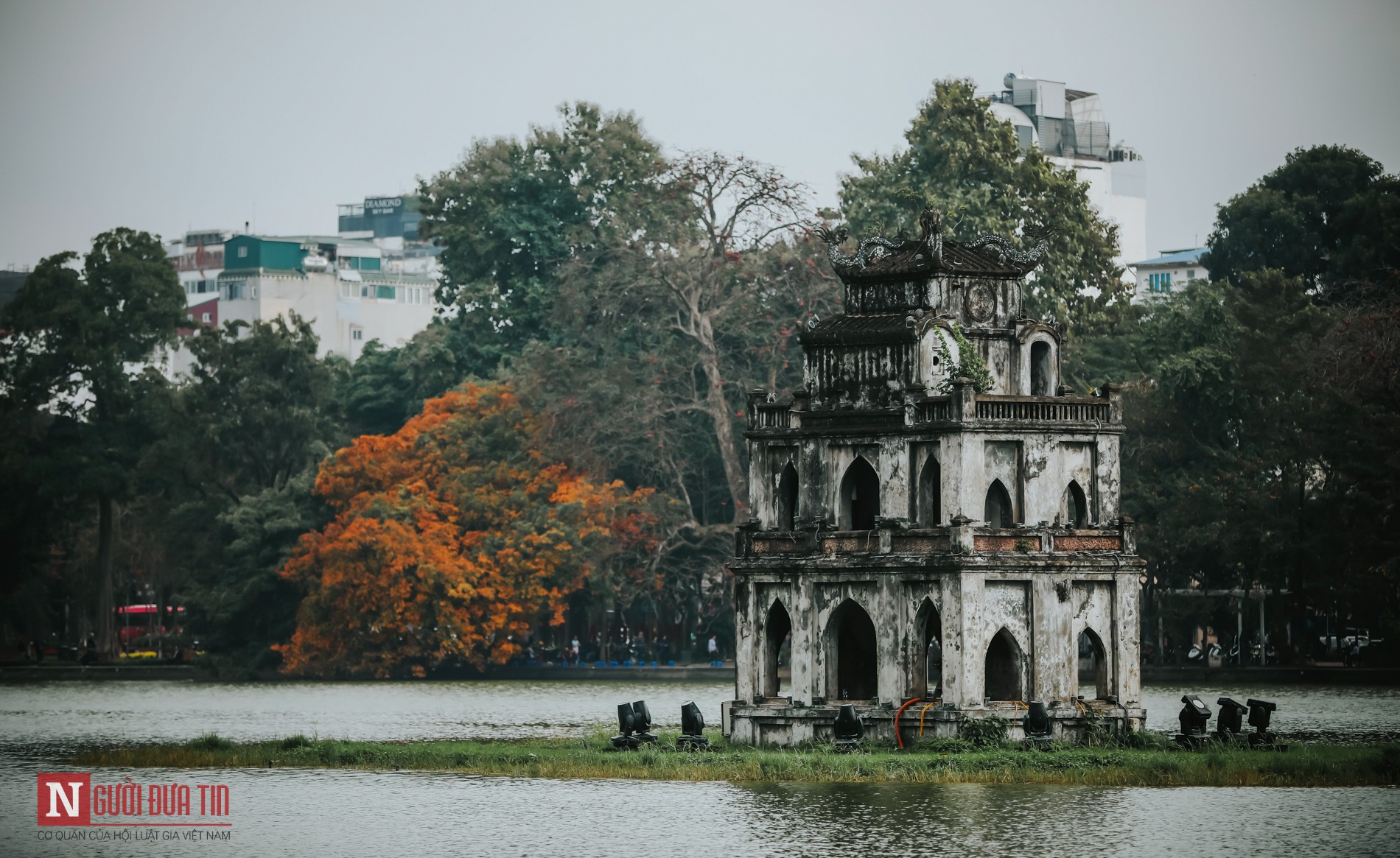 Tin nhanh - Hà Nội lãng mạn mùa cây thay lá (Hình 6).