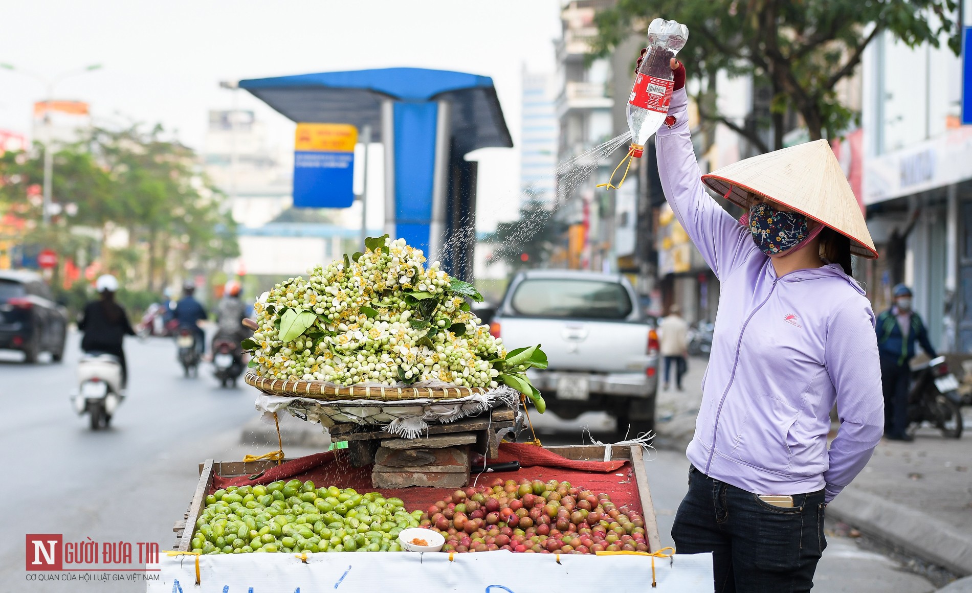 Dân sinh - Hoa bưởi nồng nàn trên các con phố Thủ đô