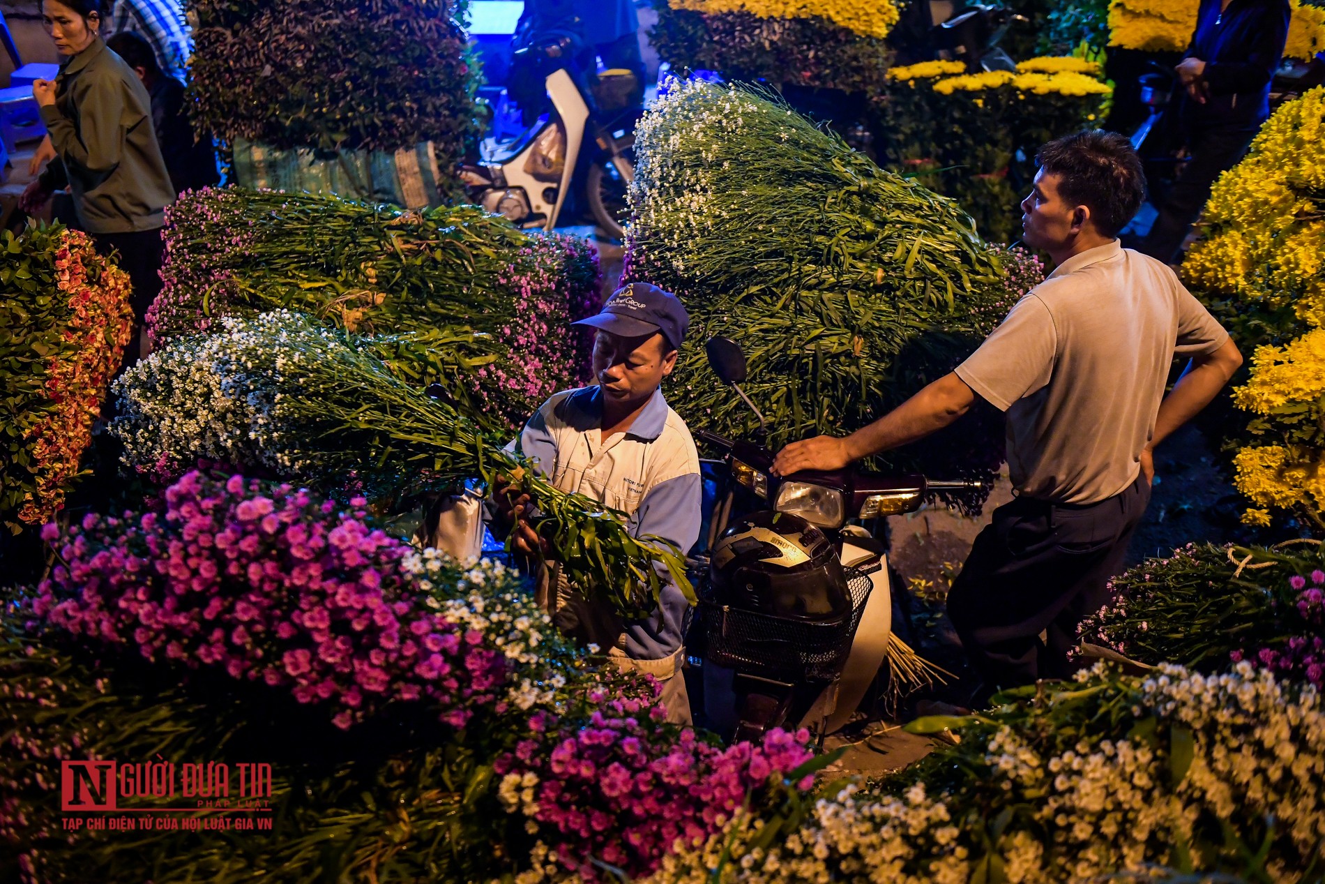 Tin nhanh - Hà Nội: Chợ hoa đầu mối nhộn nhịp trở lại (Hình 9).