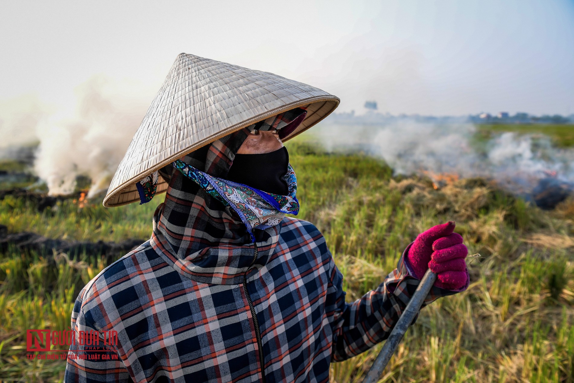 Tin nhanh - Khói do đốt rơm rạ bao phủ đường quốc lộ, cao tốc (Hình 7).