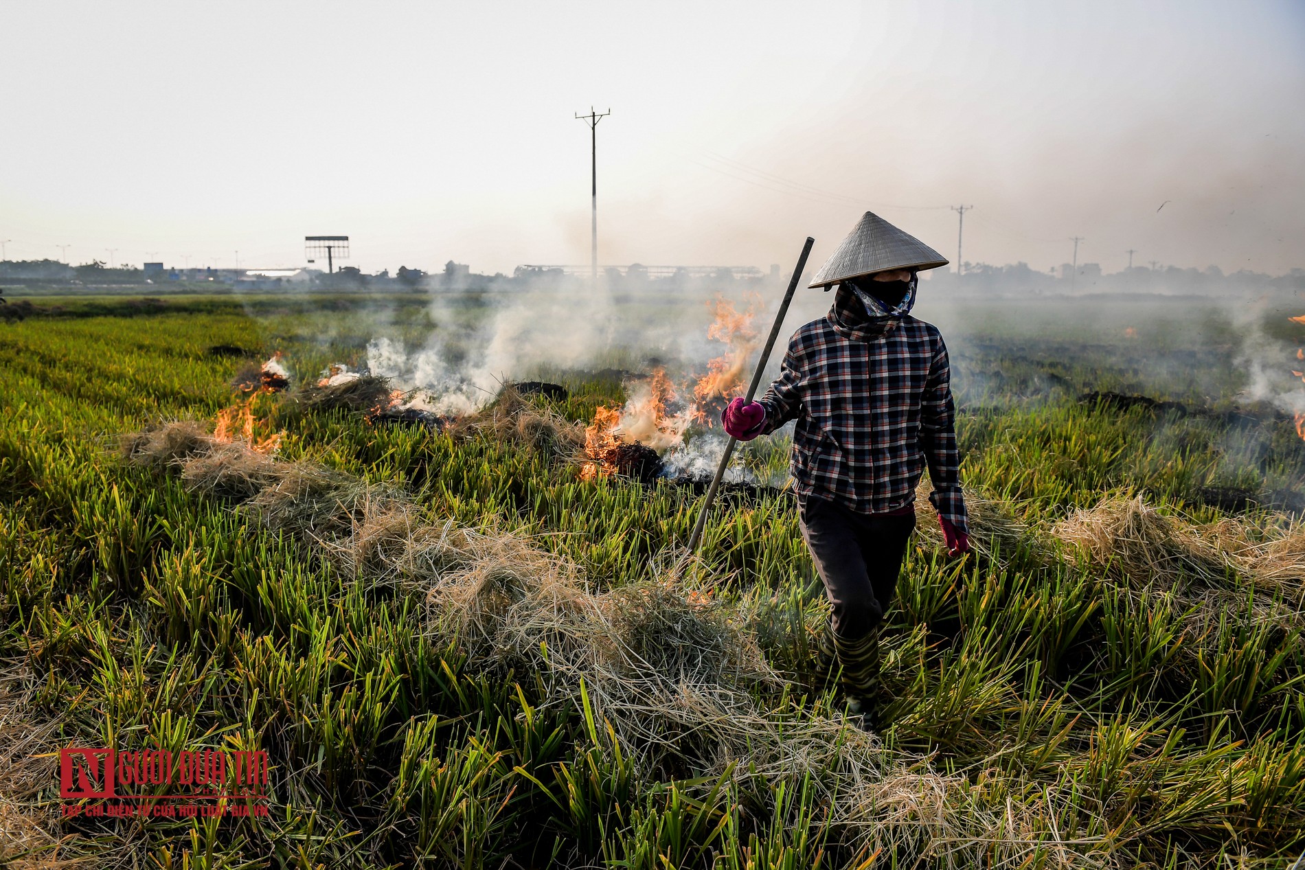 Tin nhanh - Khói do đốt rơm rạ bao phủ đường quốc lộ, cao tốc (Hình 9).