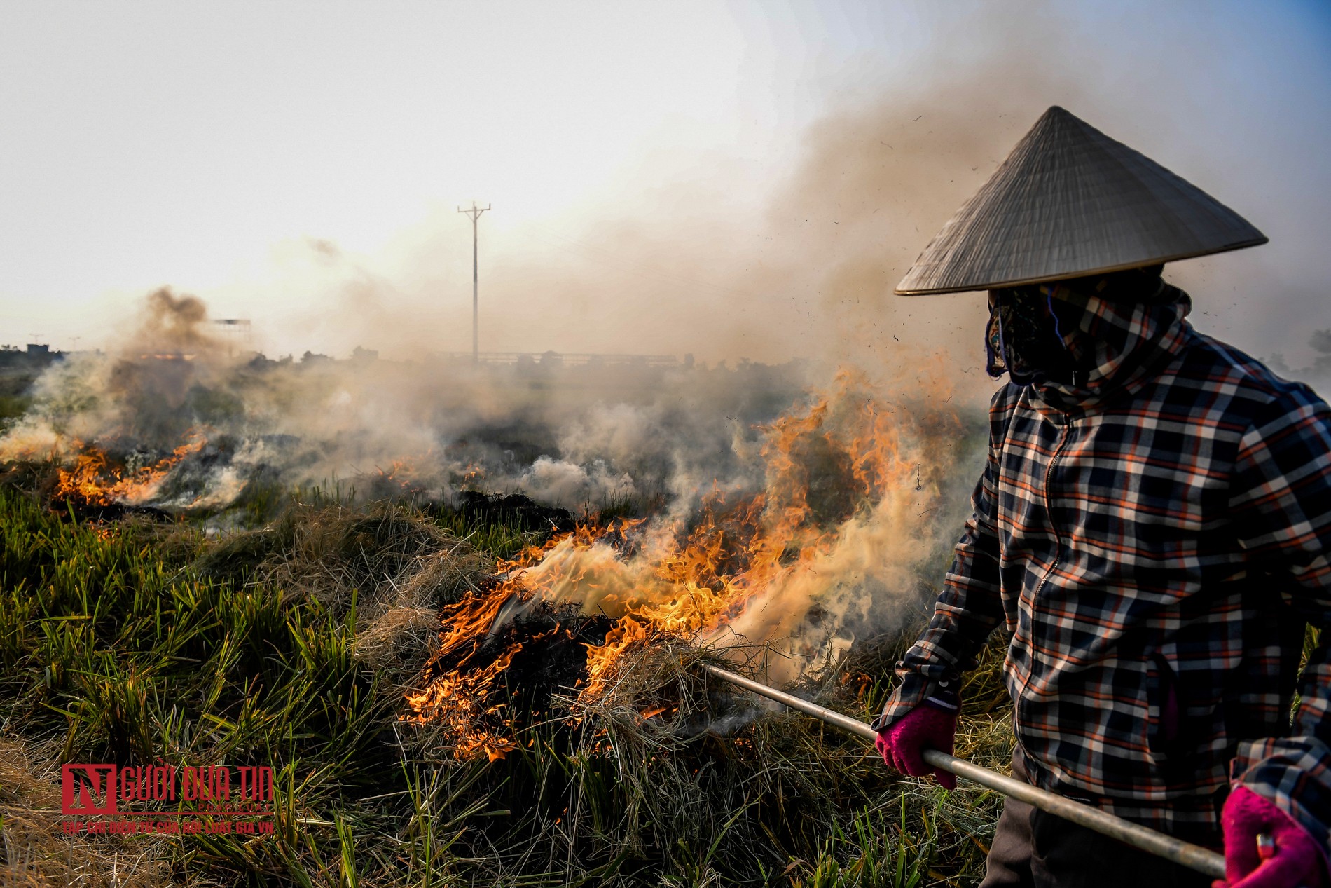 Tin nhanh - Khói do đốt rơm rạ bao phủ đường quốc lộ, cao tốc (Hình 10).