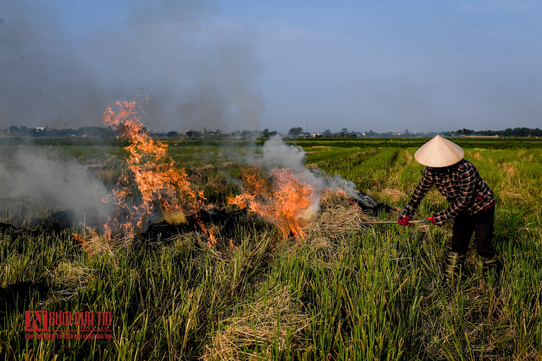 Tin nhanh - Khói do đốt rơm rạ bao phủ đường quốc lộ, cao tốc (Hình 11).