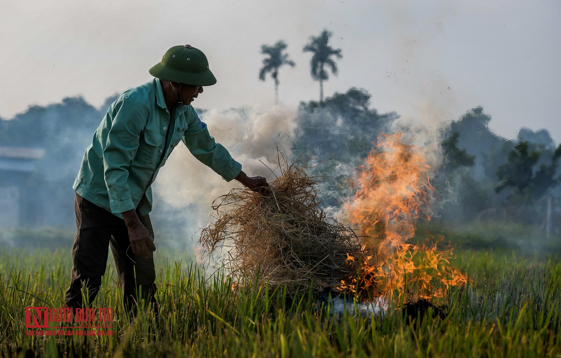 Tin nhanh - Khói do đốt rơm rạ bao phủ đường quốc lộ, cao tốc (Hình 3).