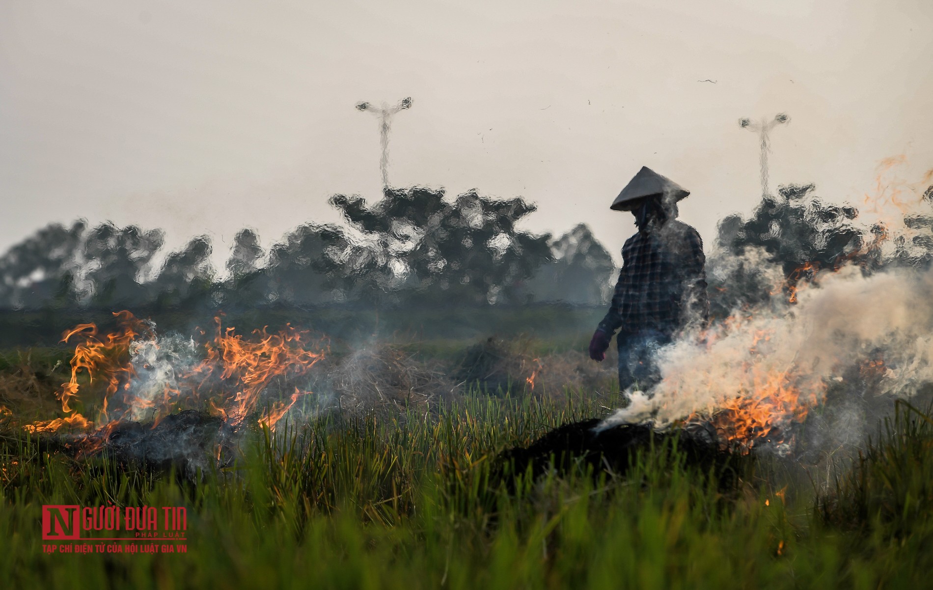 Tin nhanh - Khói do đốt rơm rạ bao phủ đường quốc lộ, cao tốc (Hình 6).