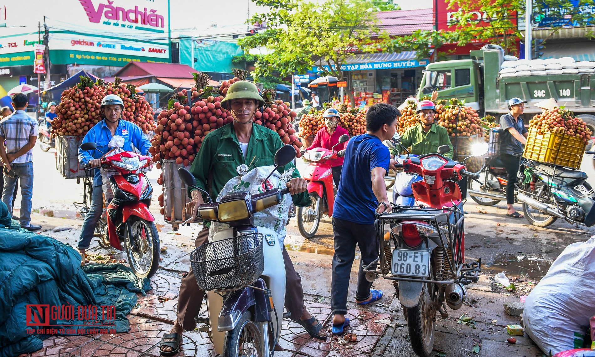 Tin nhanh - Bắc Giang: Trắng đêm thu hoạch vải thiều (Hình 14).