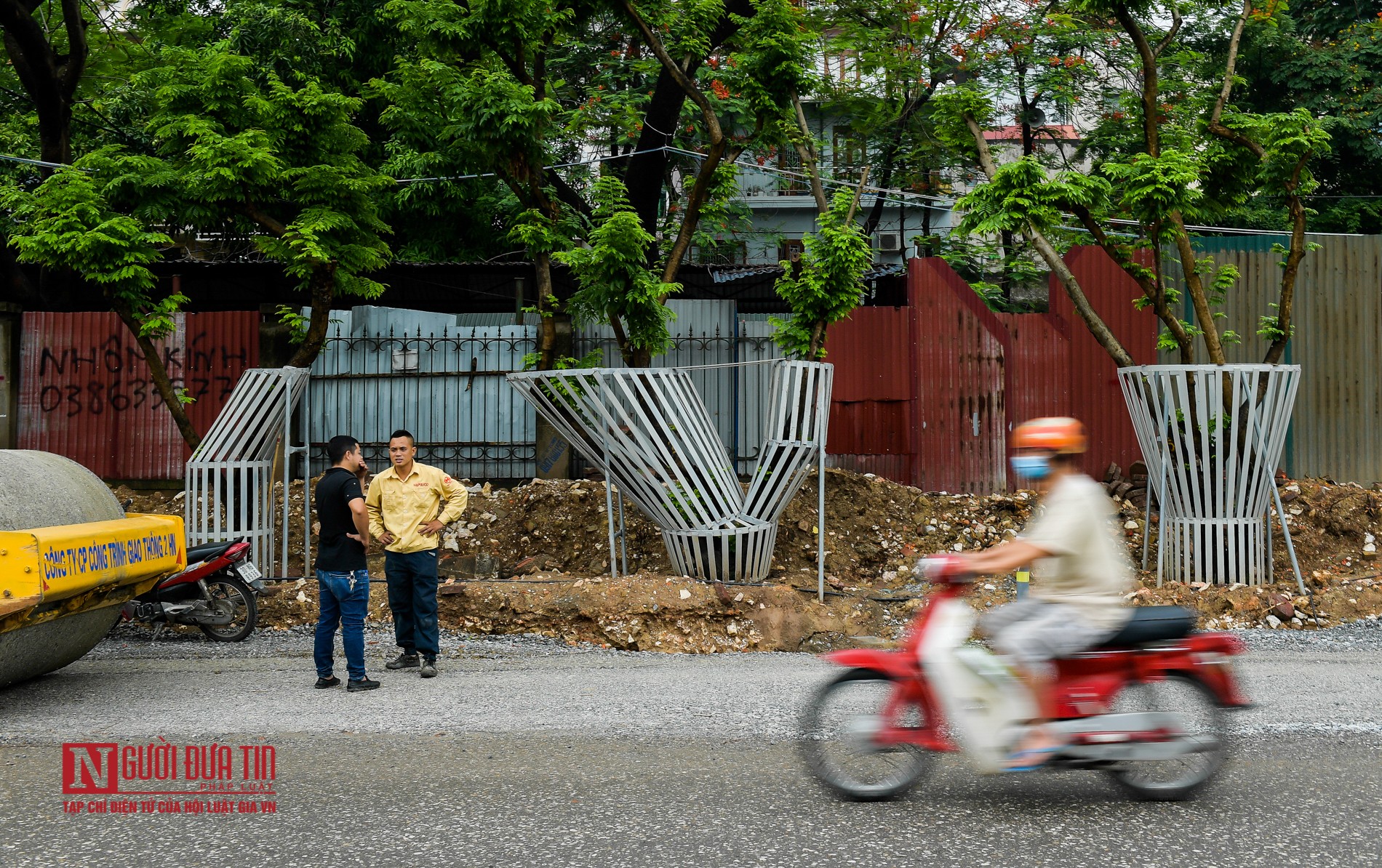 Tin nhanh - Hà Nội: Hàng chục cây sưa đỏ được trang bị “áo giáp” bảo vệ (Hình 2).