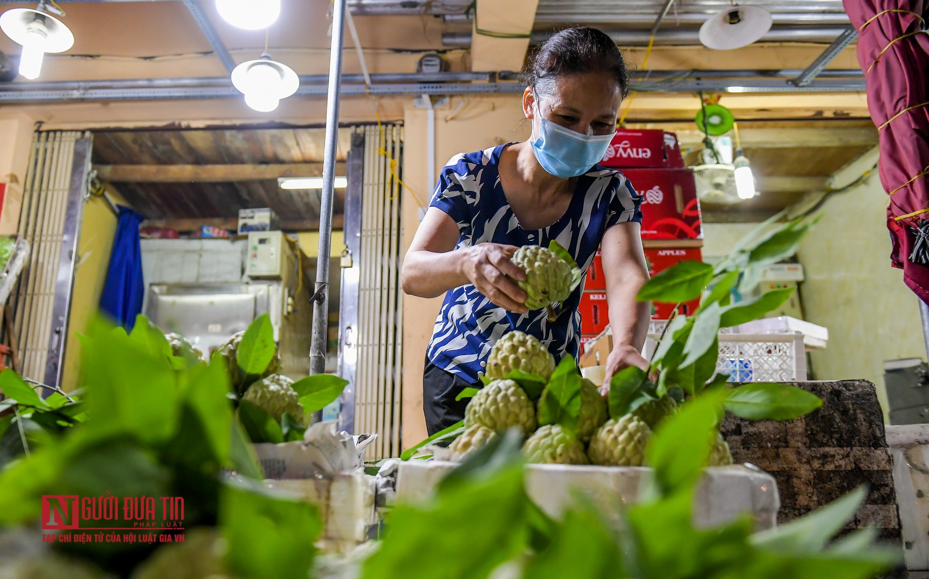 Tin nhanh - “Lá chắn” phòng dịch tại chợ đầu mối hoa quả lớn nhất miền Bắc (Hình 14).