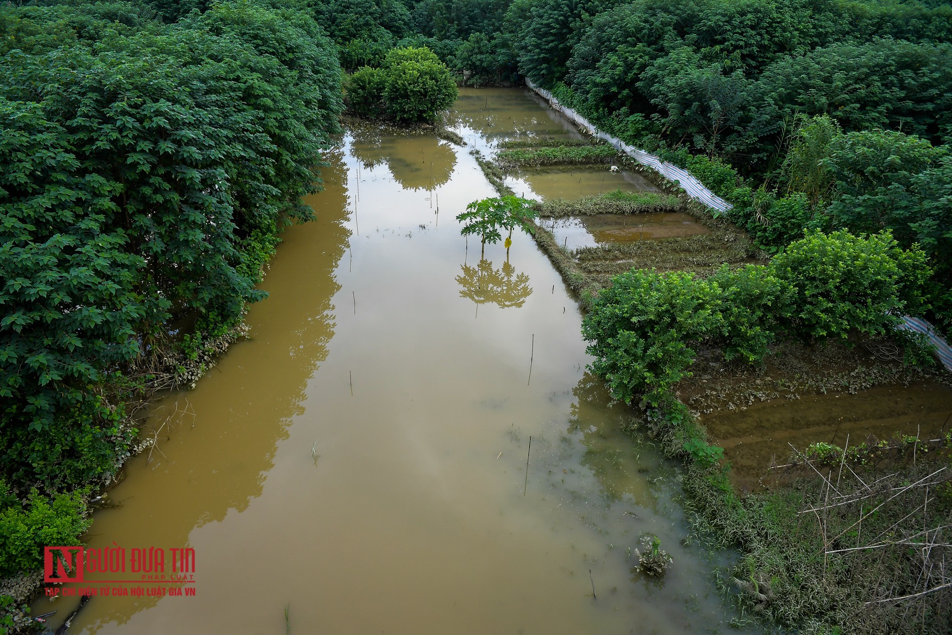 Tin nhanh - Người dân Thủ đô bì bõm tập thể dục khi nước sông Hồng dâng cao (Hình 11).