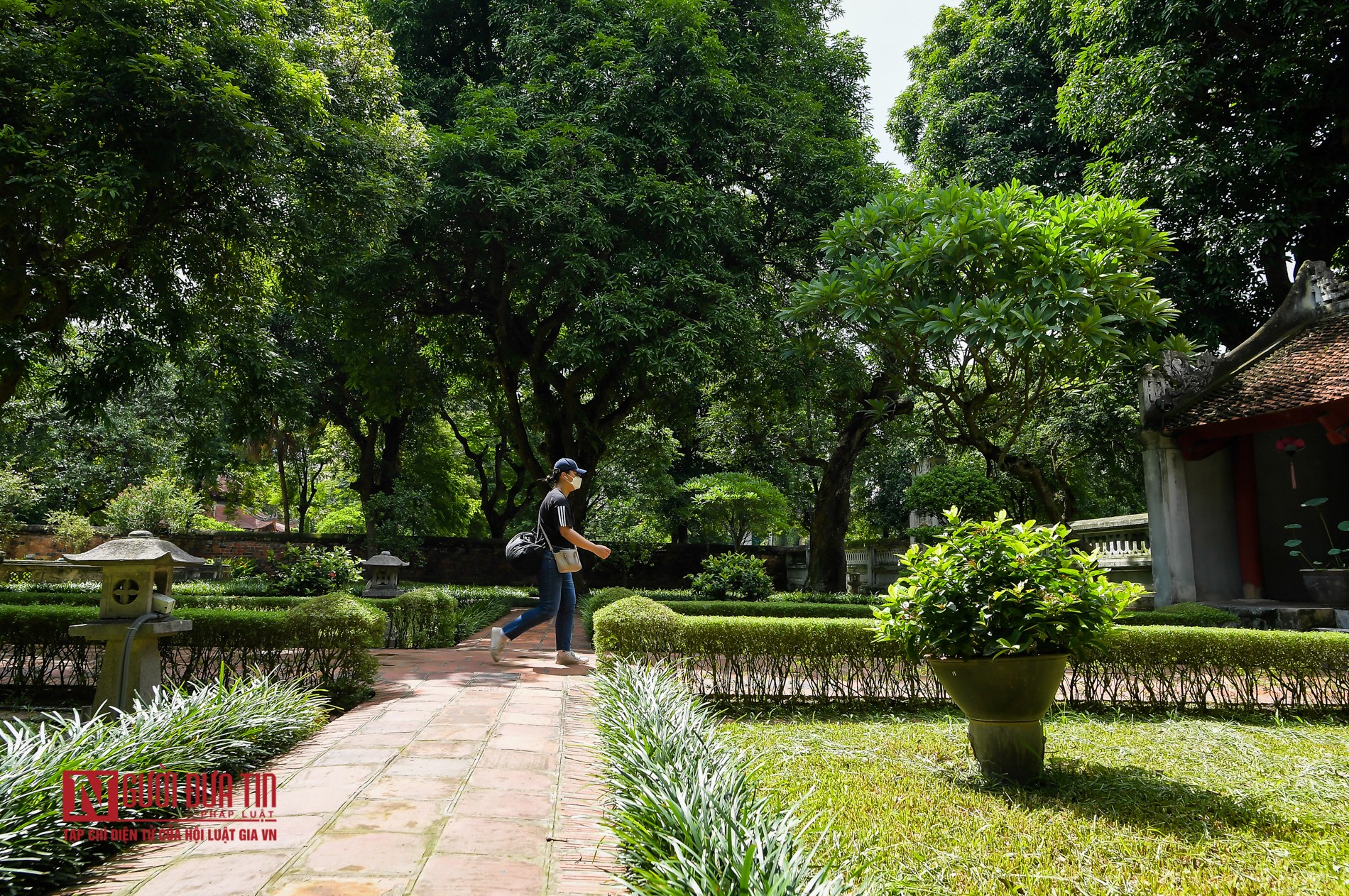 Tin nhanh - Quang cảnh hiếm thấy tại các khu di tích ở Hà Nội (Hình 8).