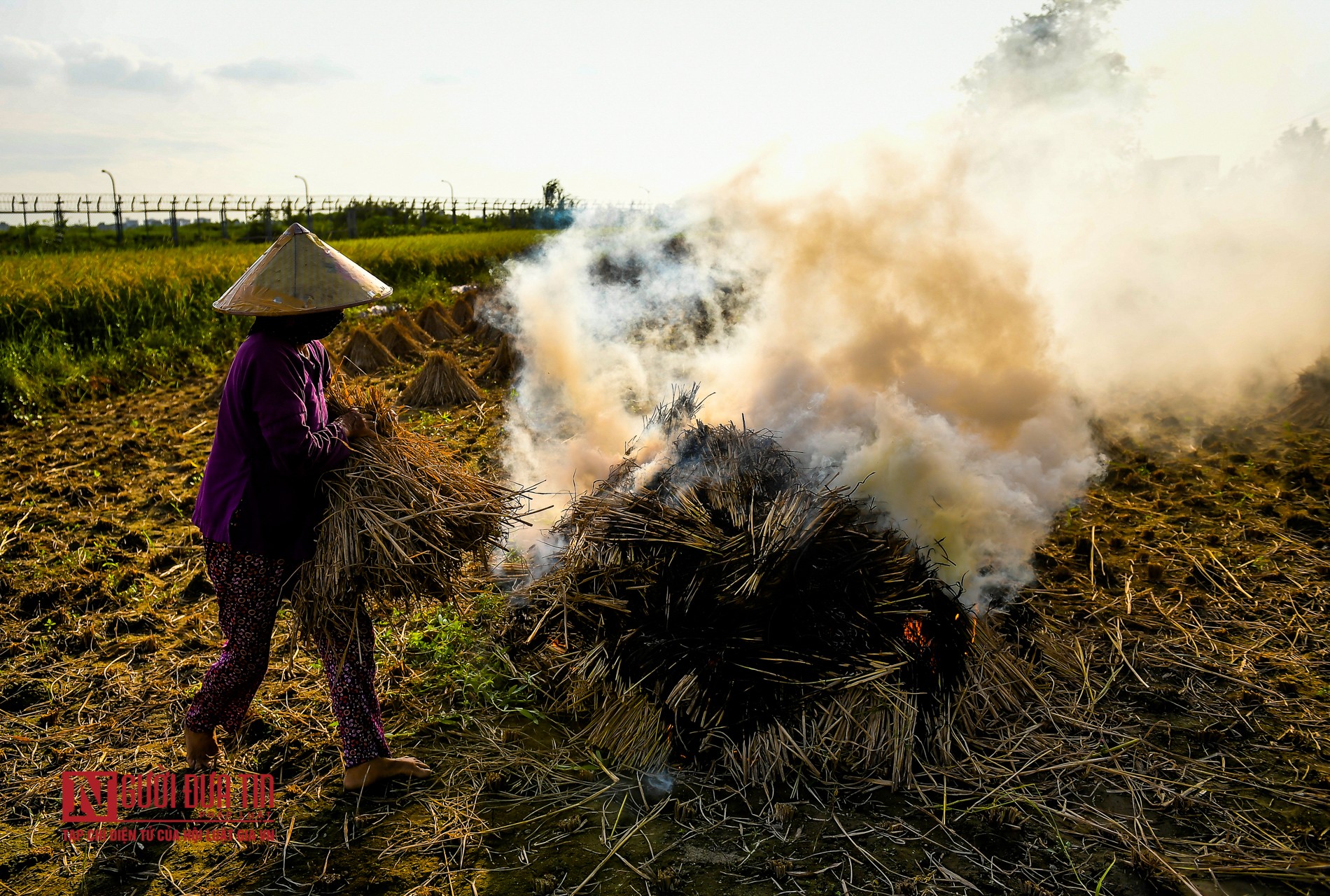 Tin nhanh - Khói đốt rơm rạ mù mịt, bủa vây sân bay Nội Bài (Hình 6).