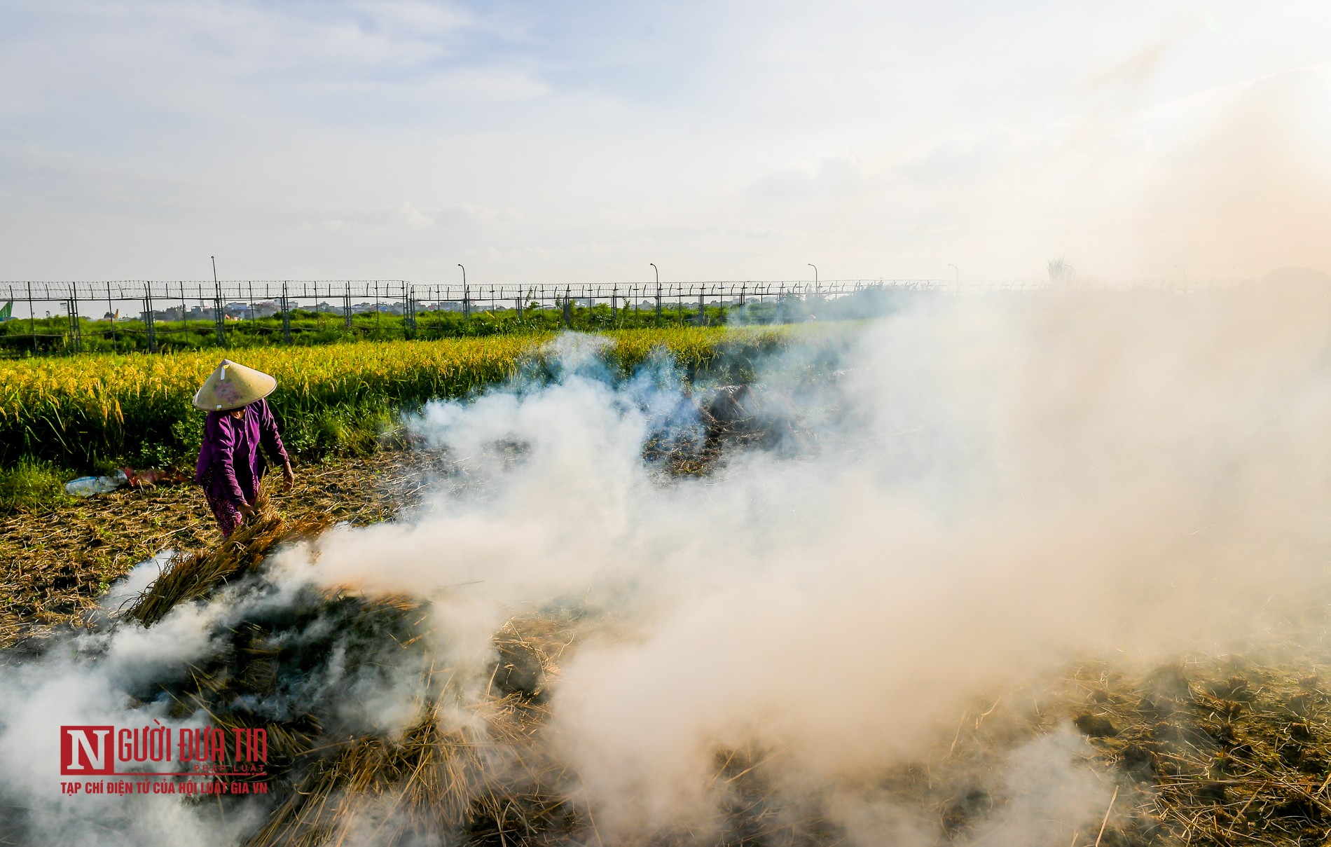 Tin nhanh - Khói đốt rơm rạ mù mịt, bủa vây sân bay Nội Bài (Hình 5).