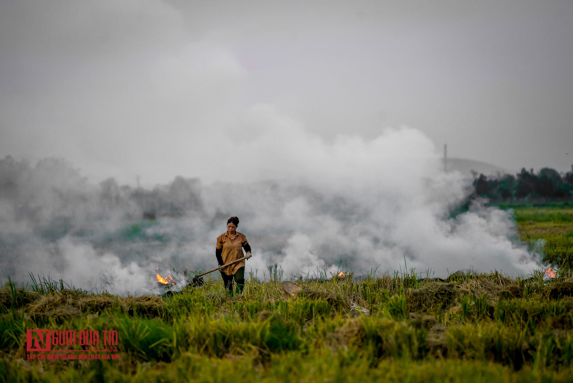 Tin nhanh - Khói đốt rơm rạ mù mịt, bủa vây sân bay Nội Bài (Hình 12).