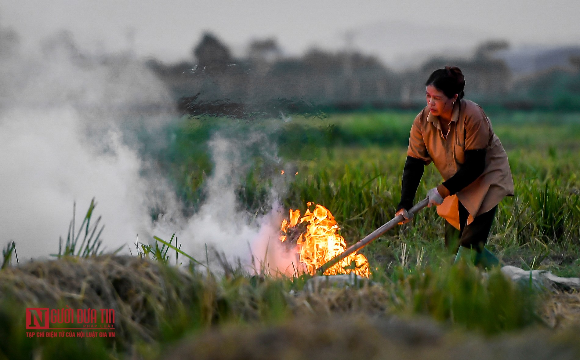 Tin nhanh - Khói đốt rơm rạ mù mịt, bủa vây sân bay Nội Bài (Hình 13).