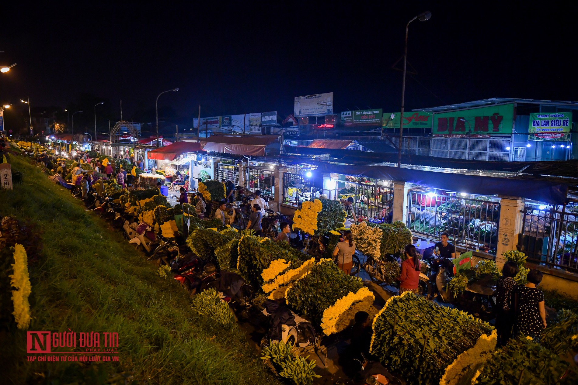 Tin nhanh - Nhộn nhịp chợ hoa đầu mối dịp 20/10