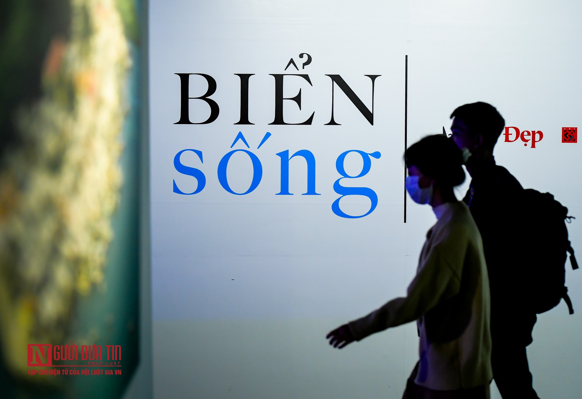 Tin nhanh - Ngắm triển lãm “Biển sống” với thông điệp bảo vệ đại dương (Hình 13).